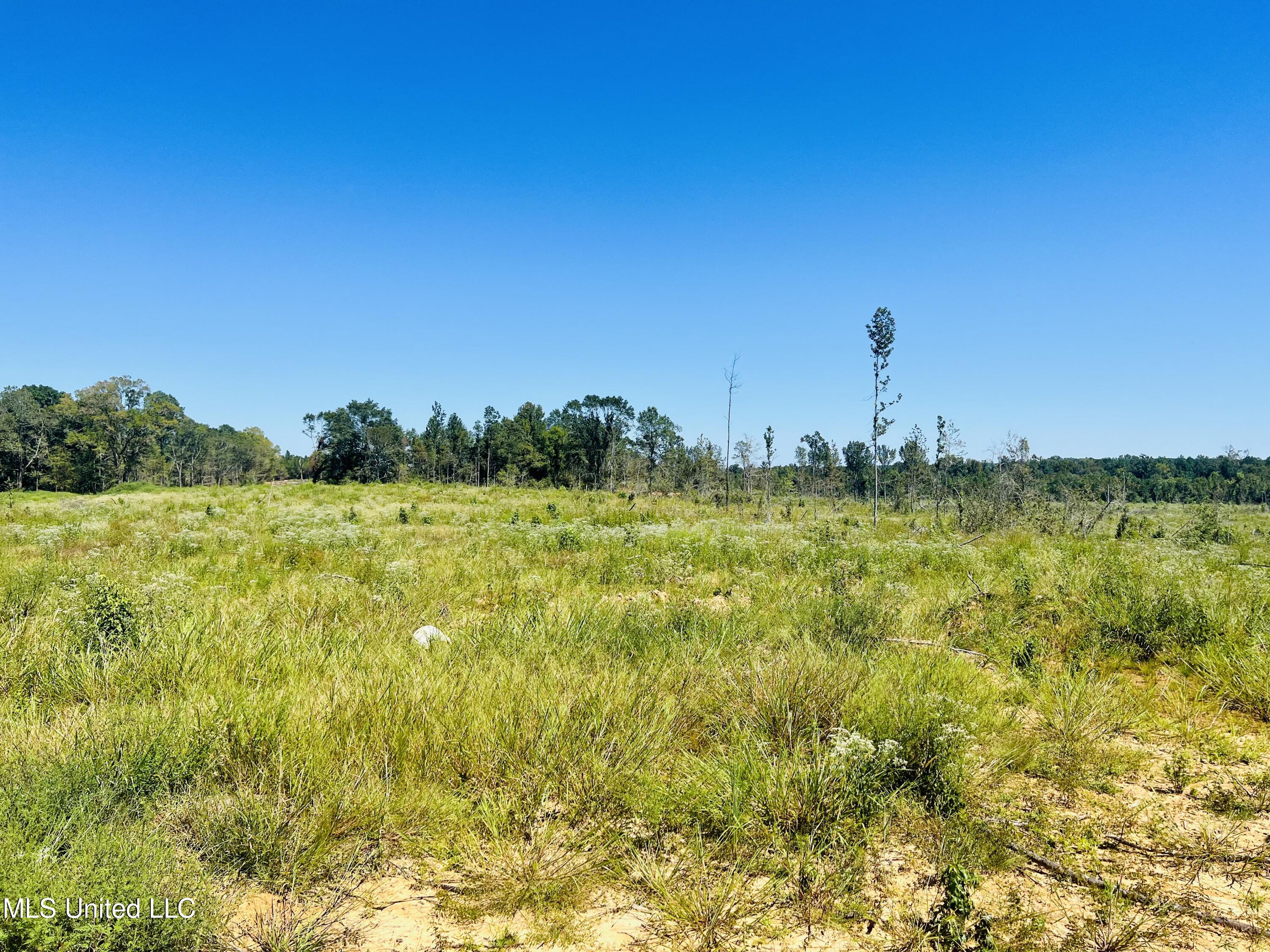Firetower Road Camden, MS 39045 - Photo 20 of 38 IMG_9241