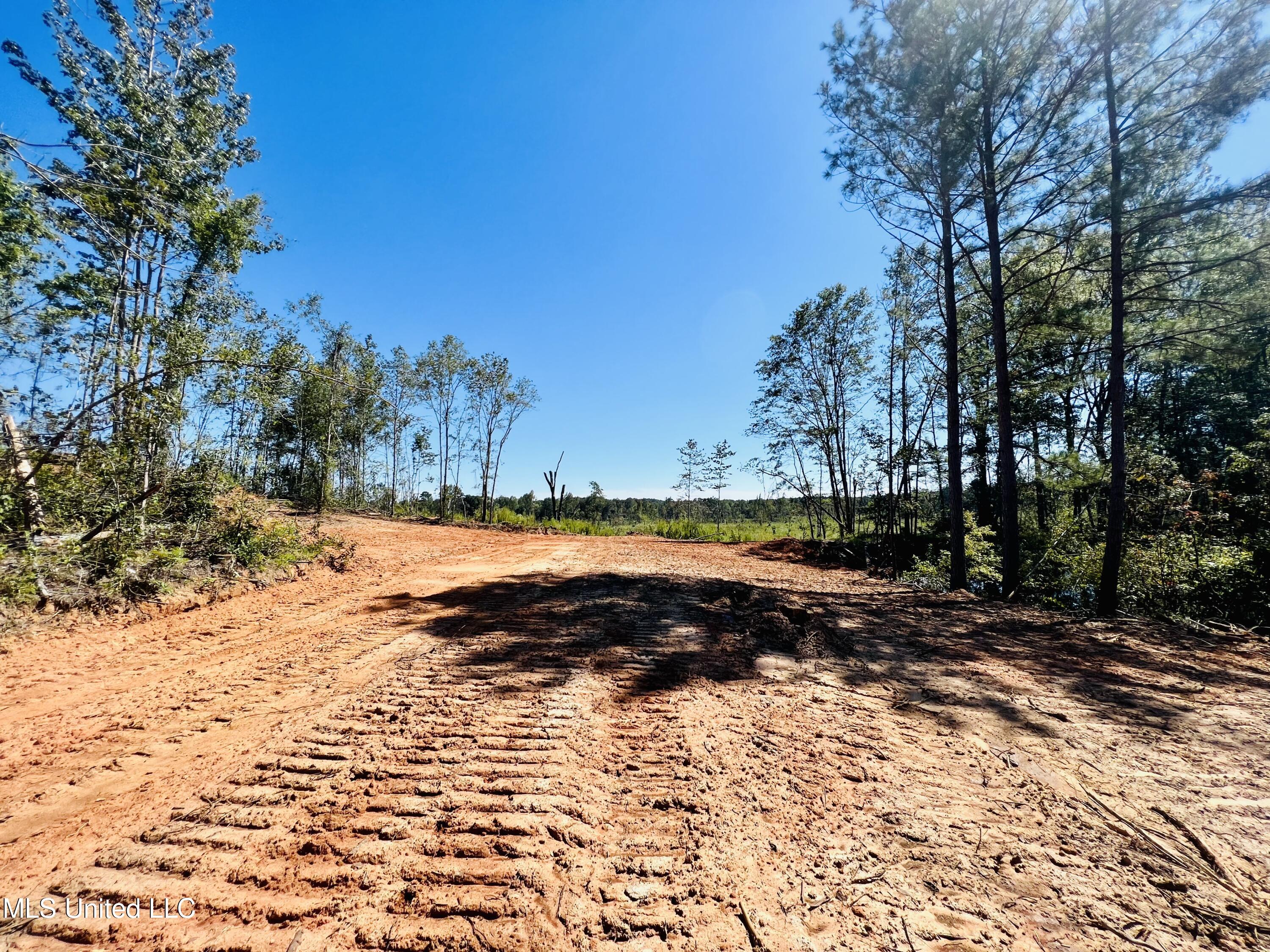 Firetower Road Camden, MS 39045 - Photo 22 of 38 IMG_9341