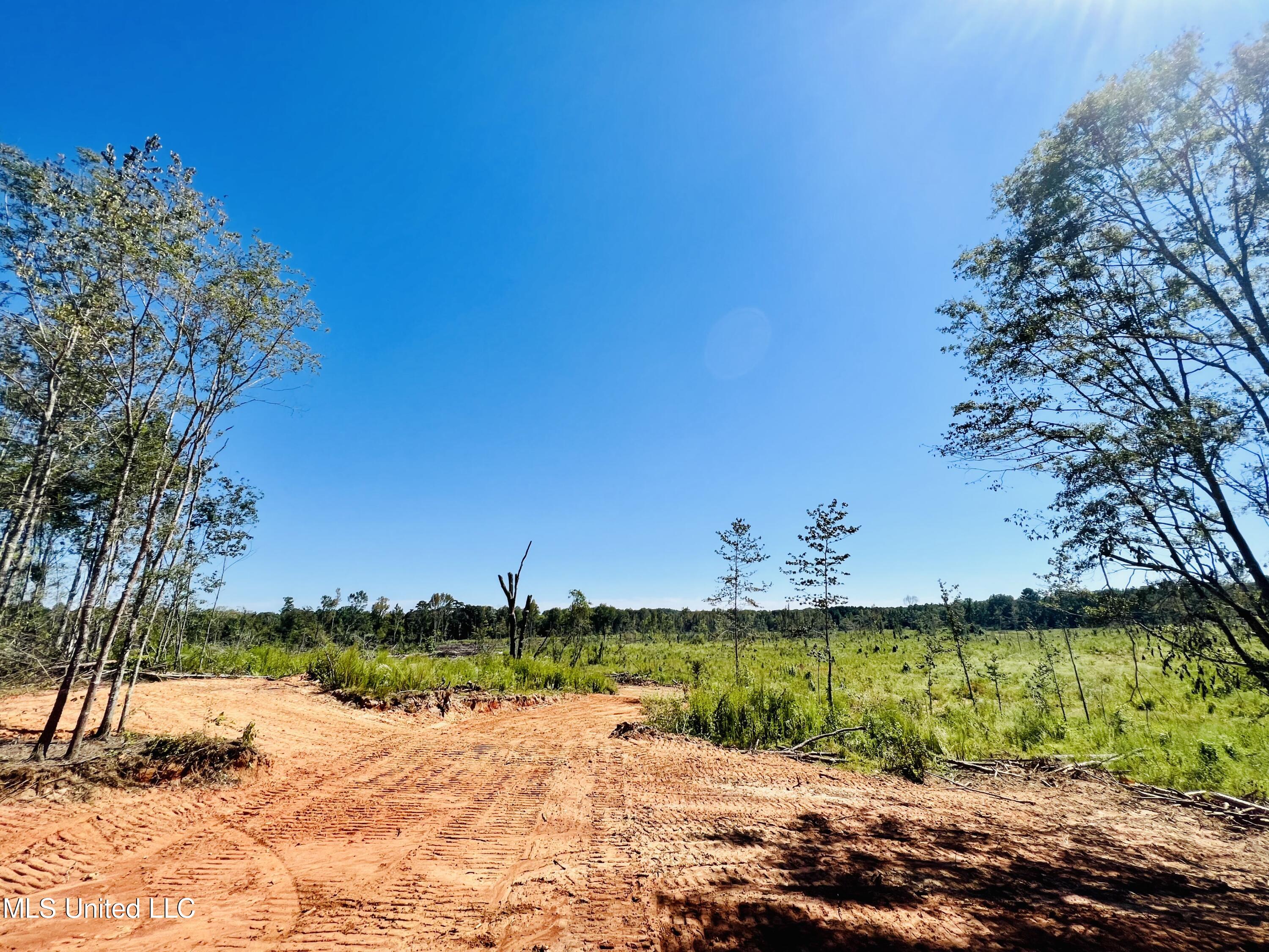 Firetower Road Camden, MS 39045 - Photo 23 of 38 IMG_9355