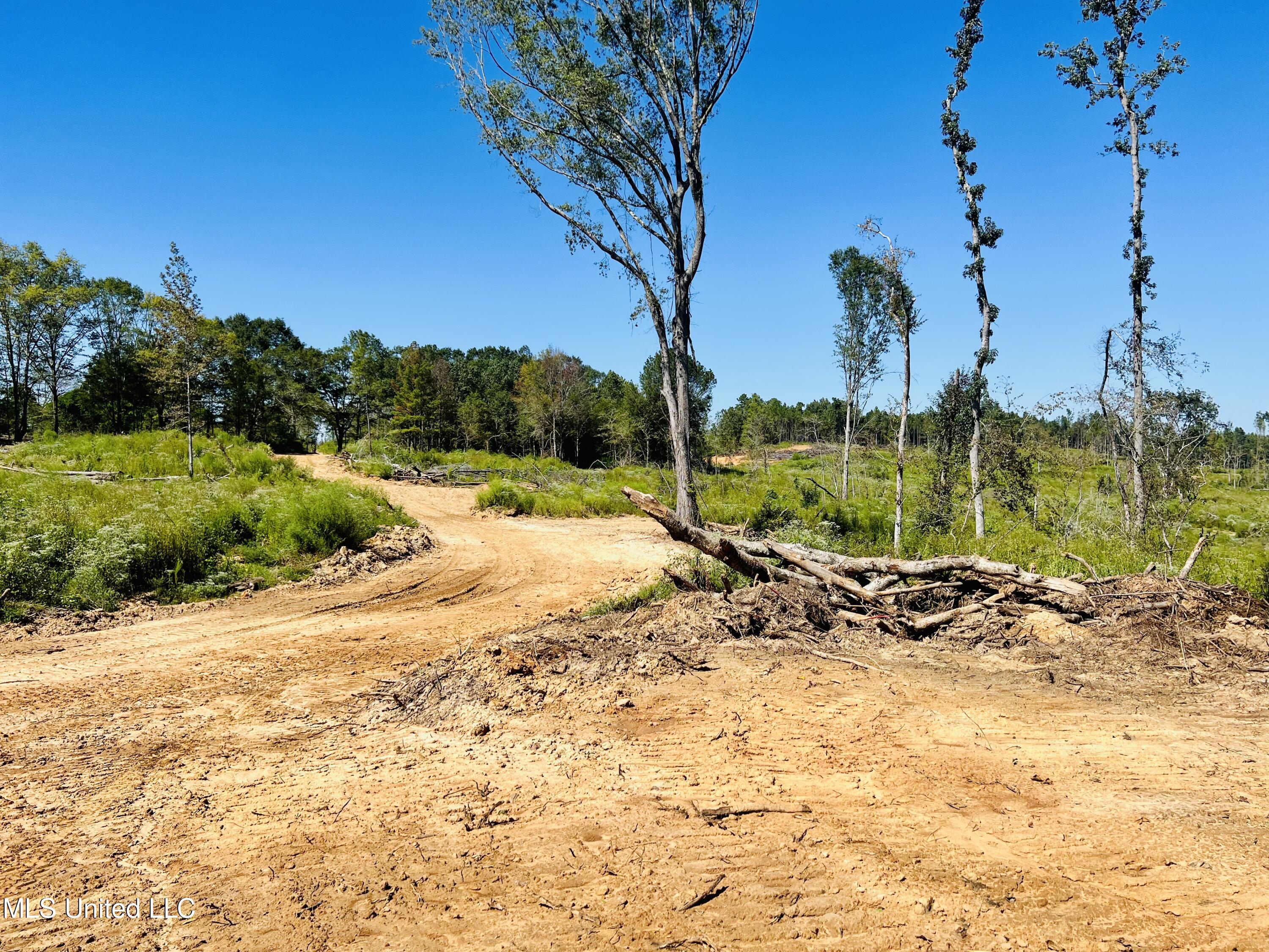 Firetower Road Camden, MS 39045 - Photo 25 of 38 IMG_9338