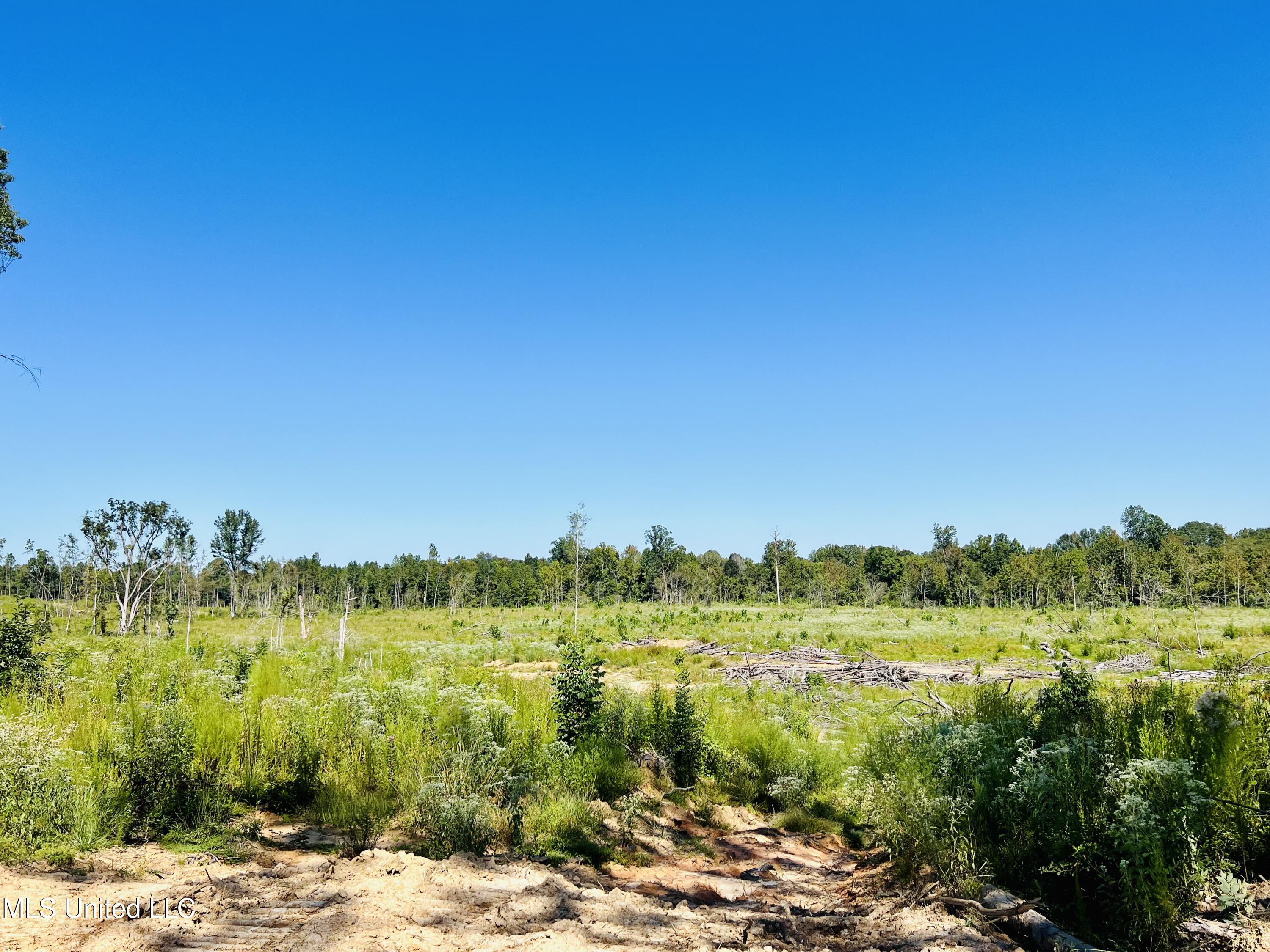 Firetower Road Camden, MS 39045 - Photo 26 of 38 IMG_9361