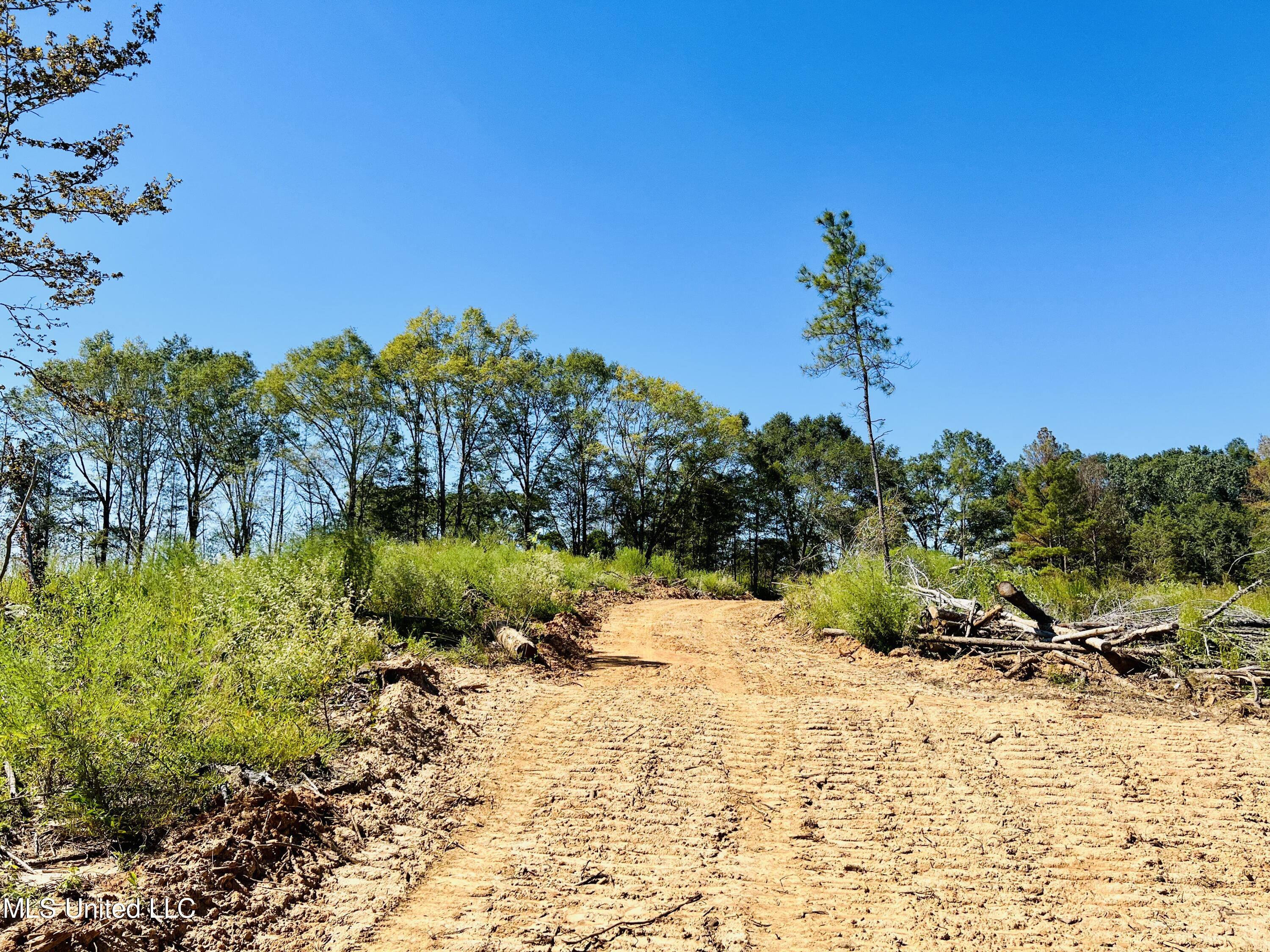 Firetower Road Camden, MS 39045 - Photo 27 of 38 IMG_9362