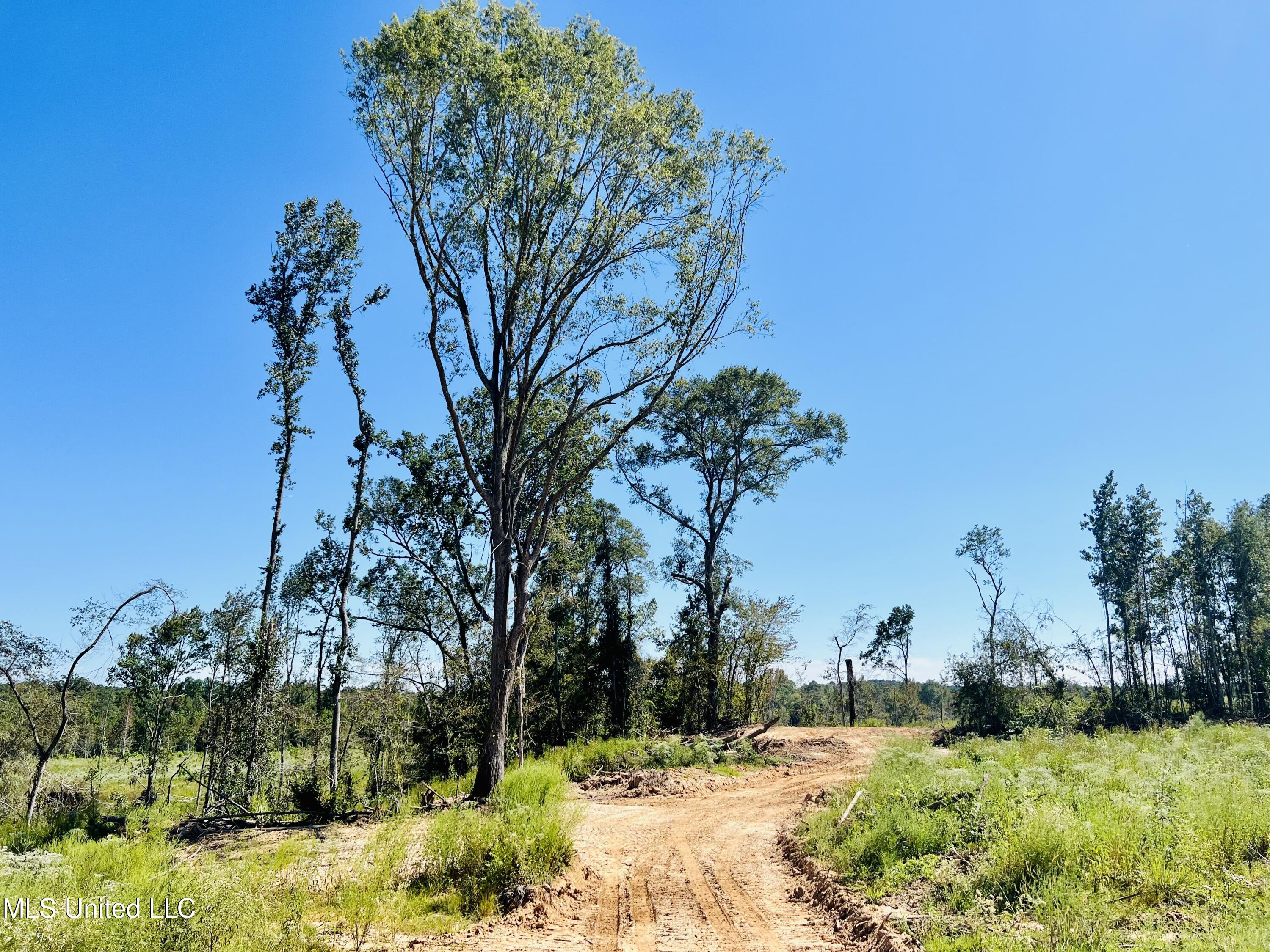 Firetower Road Camden, MS 39045 - Photo 28 of 38 IMG_9333