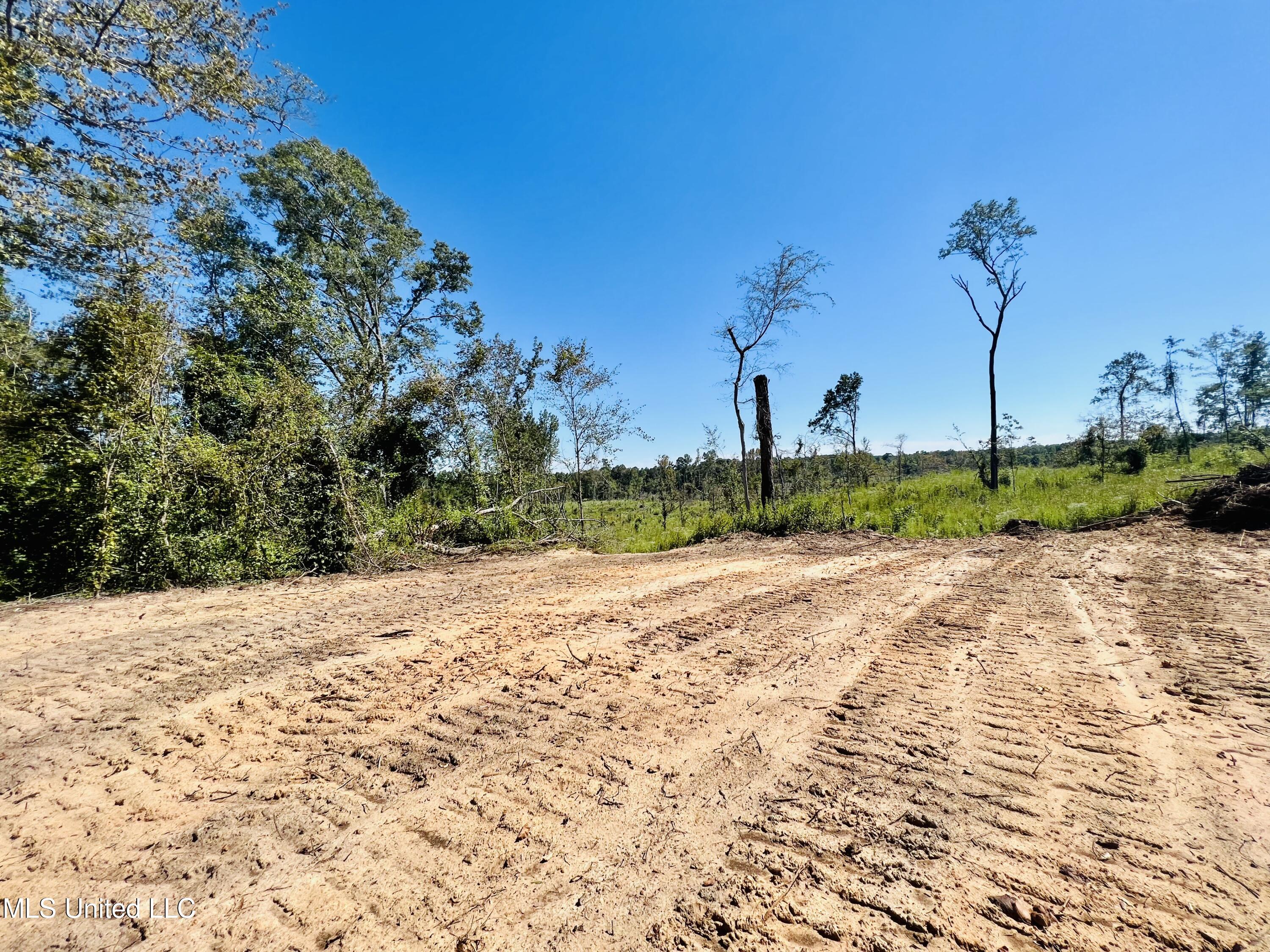 Firetower Road Camden, MS 39045 - Photo 29 of 38 IMG_9336