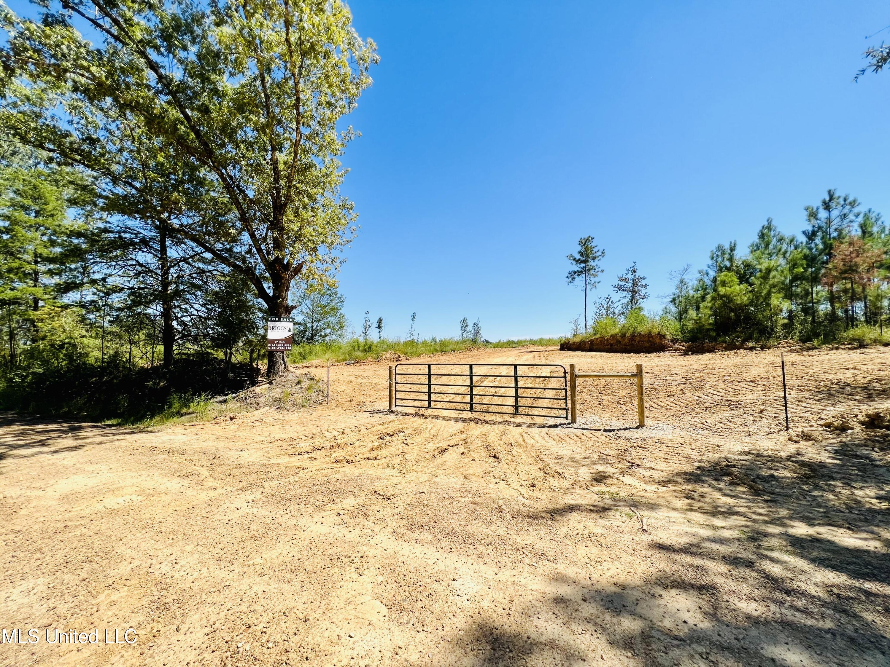 Firetower Road Camden, MS 39045 - Photo 30 of 38 IMG_9265