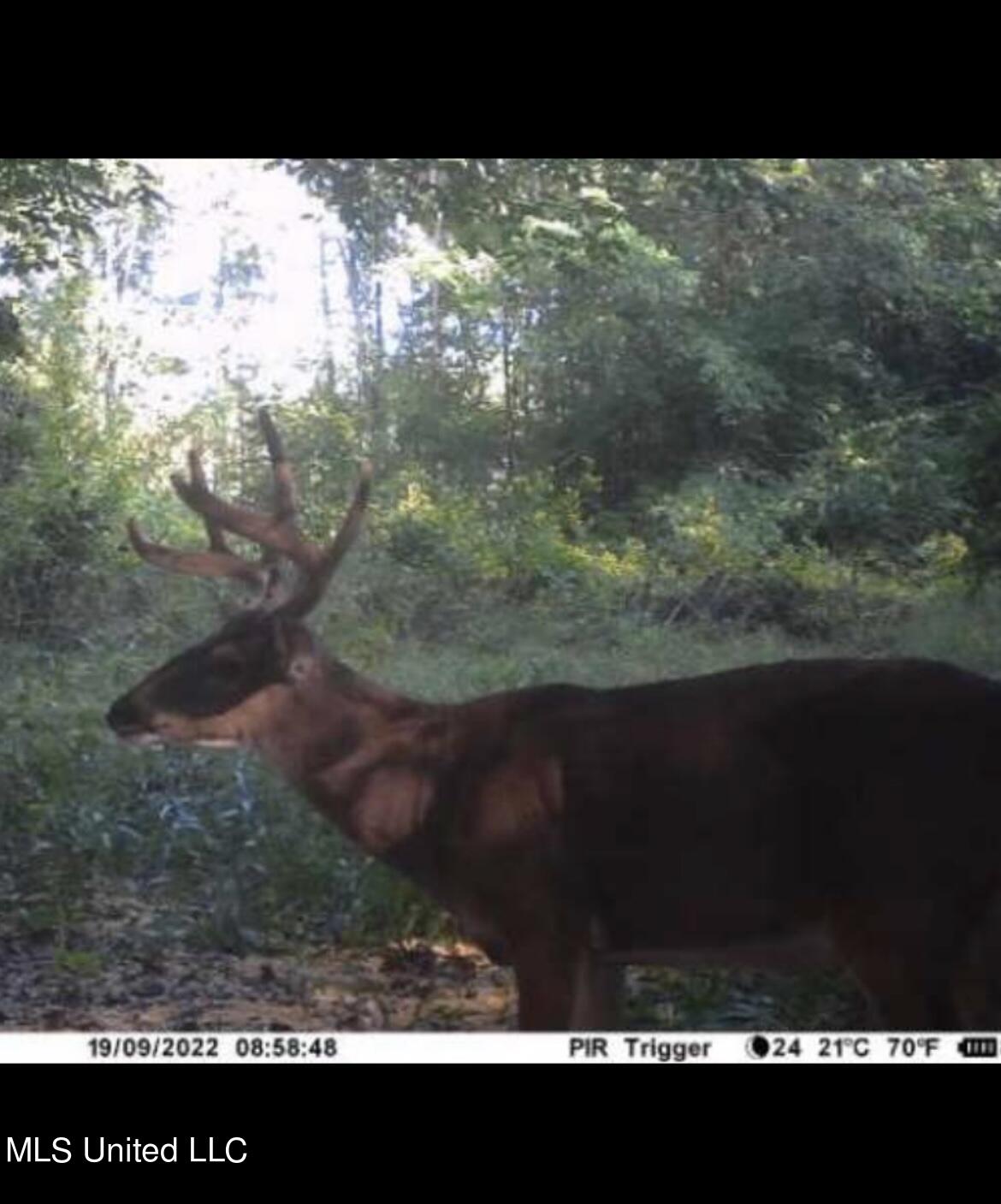 Firetower Road Camden, MS 39045 - Photo 3 of 38 IMG_0089