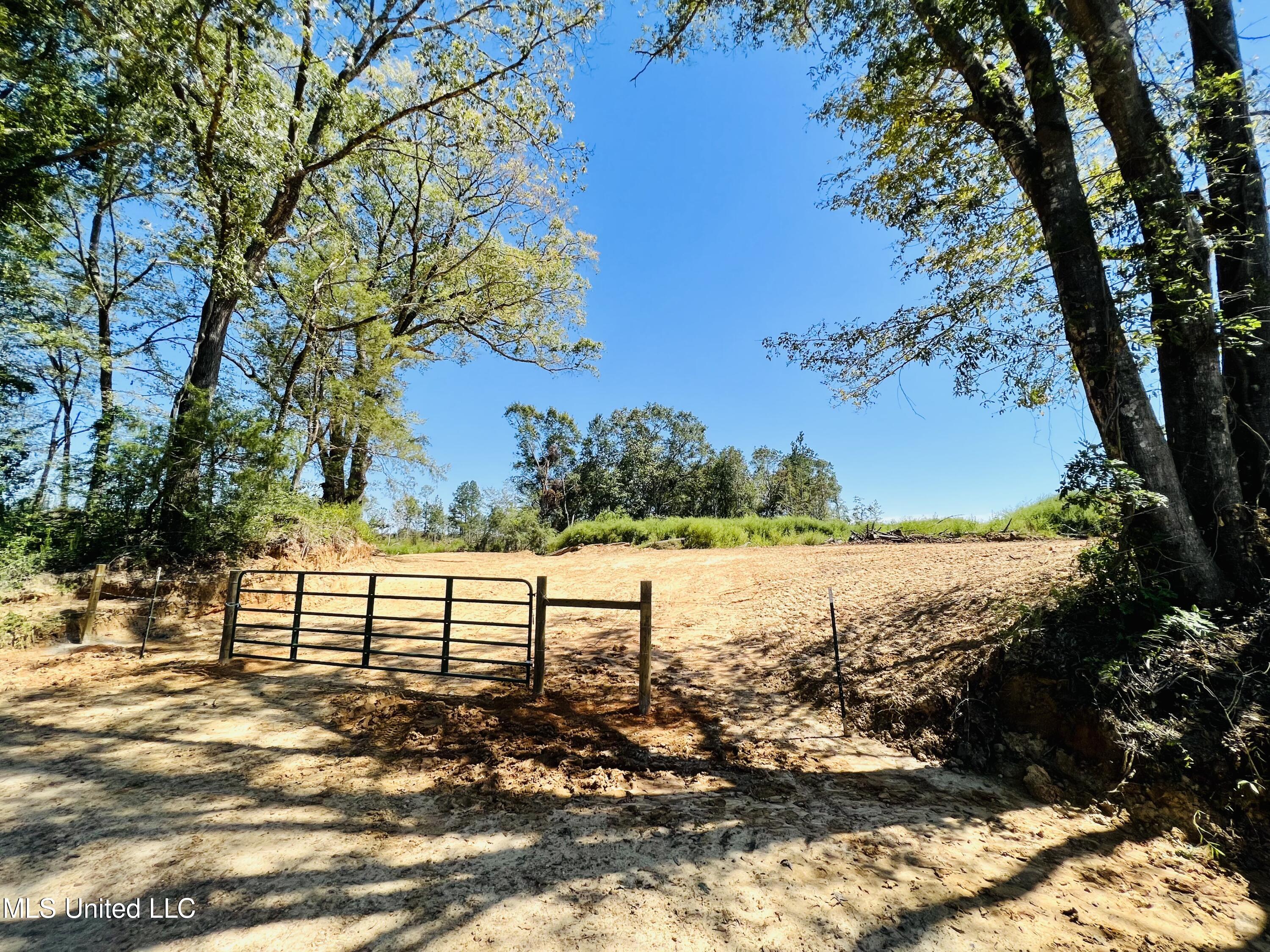 Firetower Road Camden, MS 39045 - Photo 31 of 38 IMG_9273