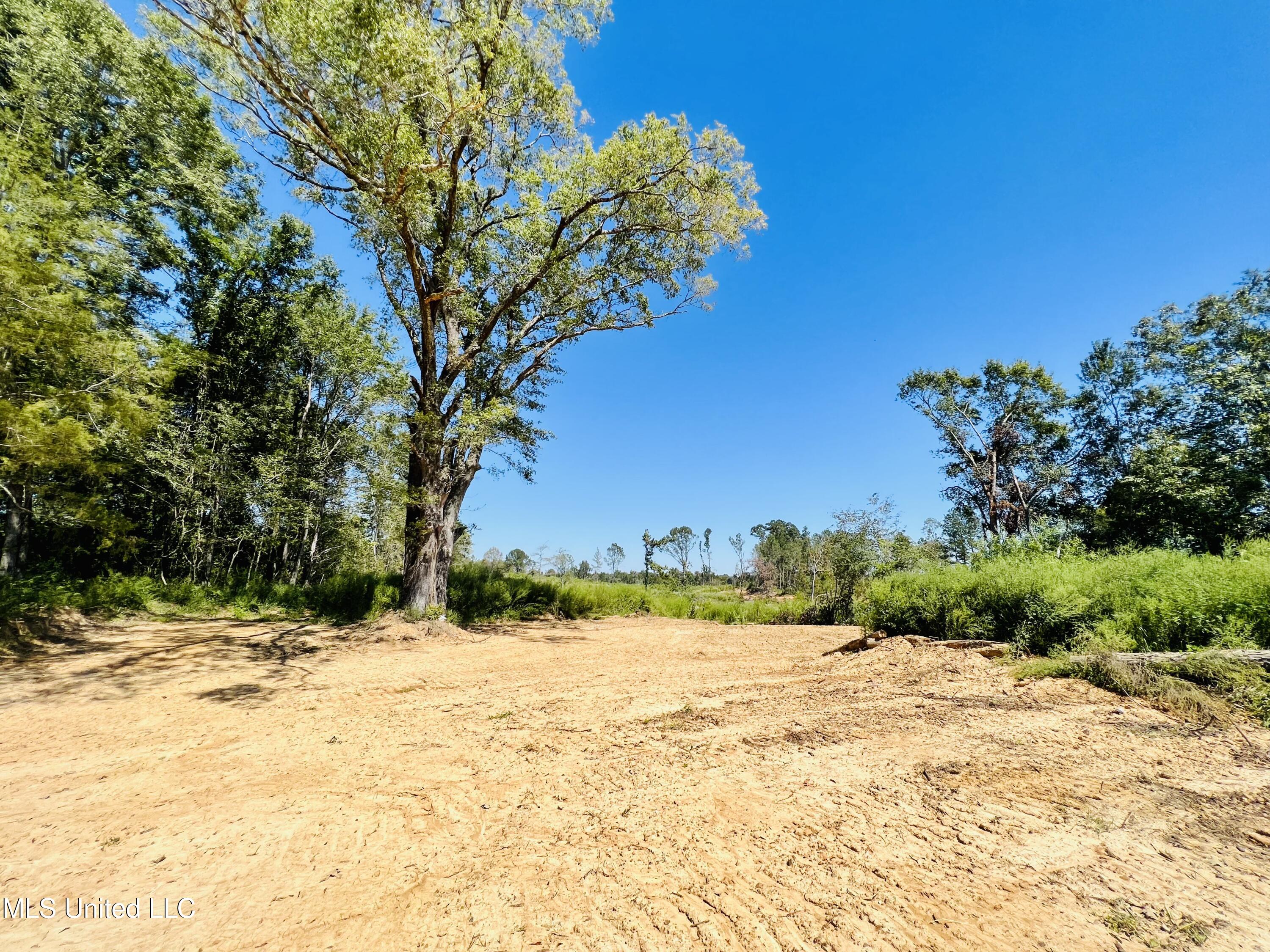Firetower Road Camden, MS 39045 - Photo 32 of 38 IMG_9272