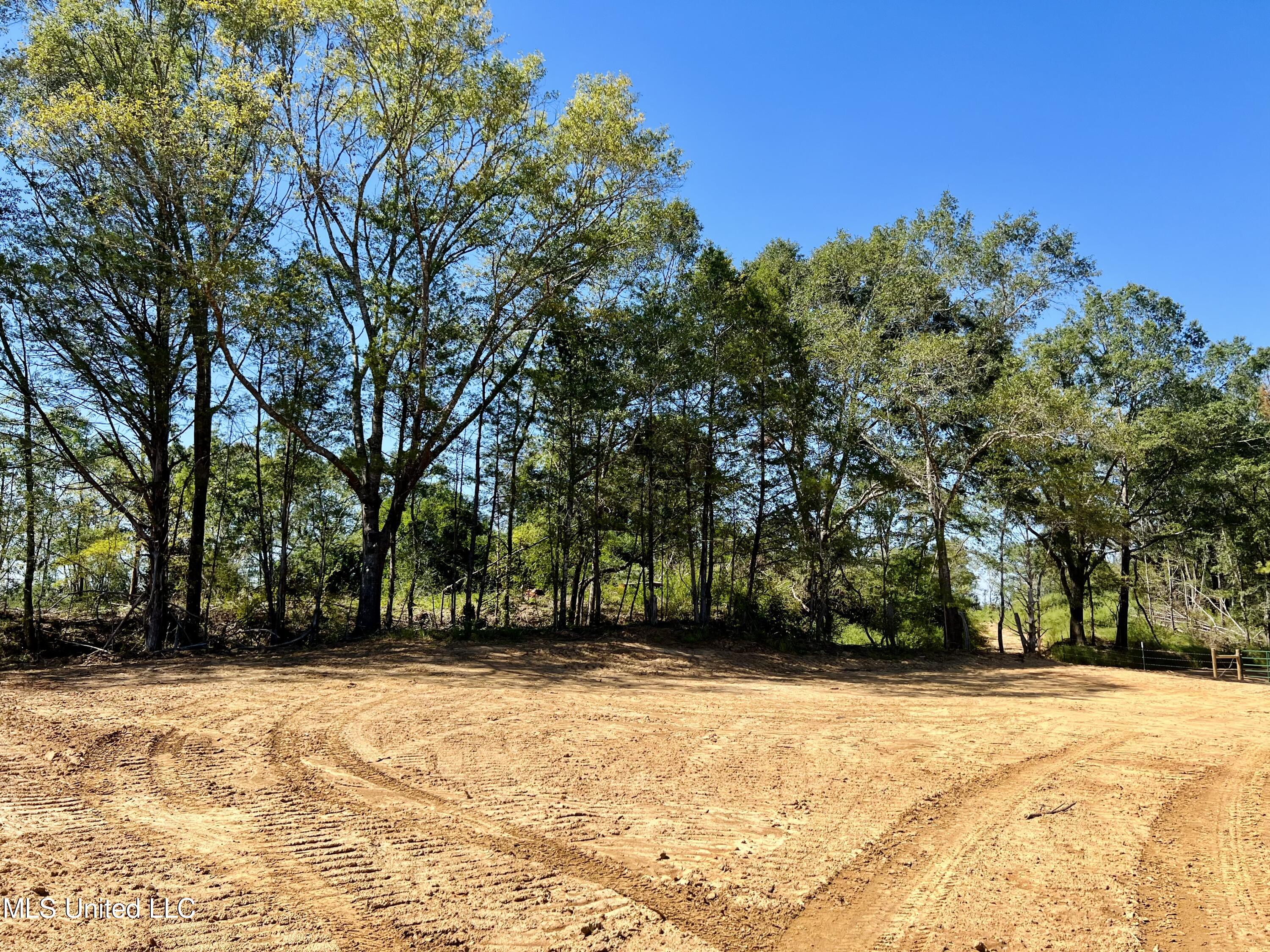 Firetower Road Camden, MS 39045 - Photo 34 of 38 IMG_9364
