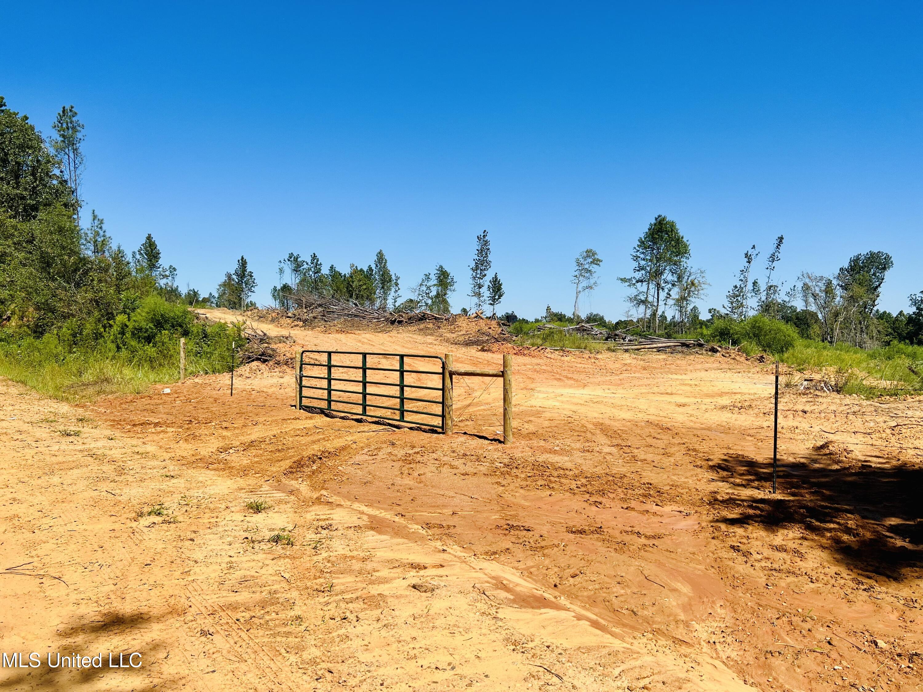 Firetower Road Camden, MS 39045 - Photo 35 of 38 IMG_9324