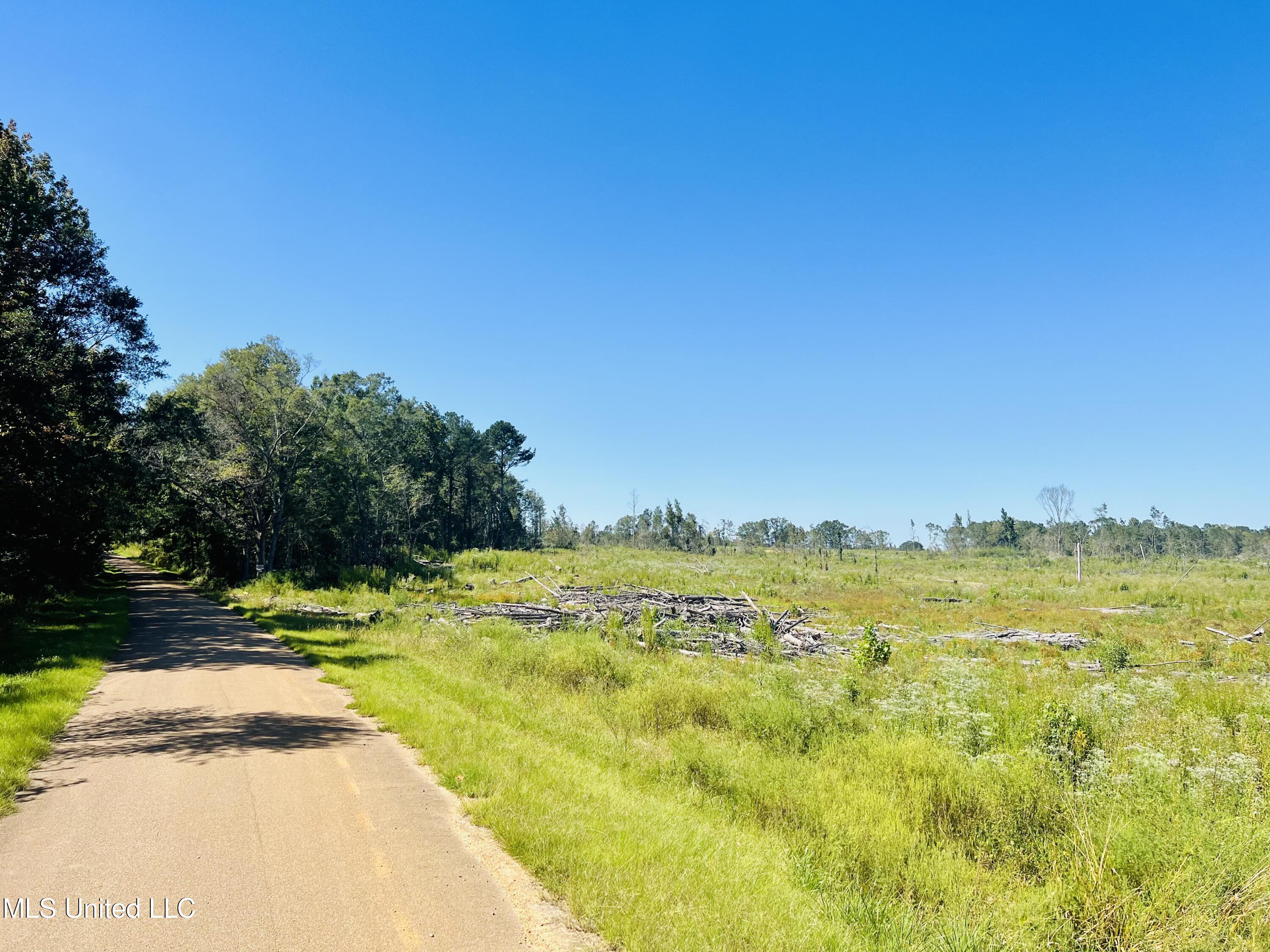 Firetower Road Camden, MS 39045 - Photo 36 of 38 IMG_9373