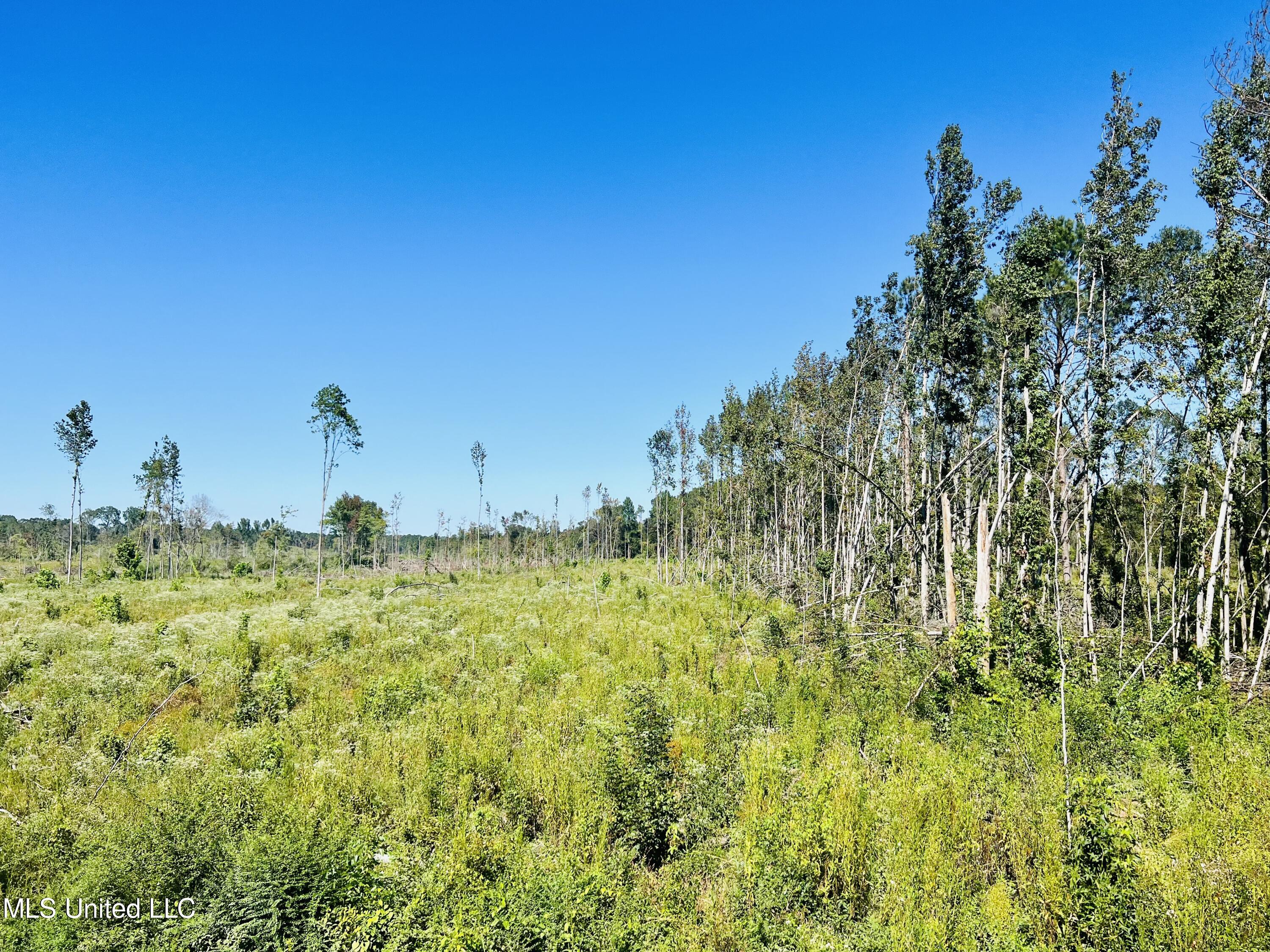 Firetower Road Camden, MS 39045 - Photo 37 of 38 IMG_9370