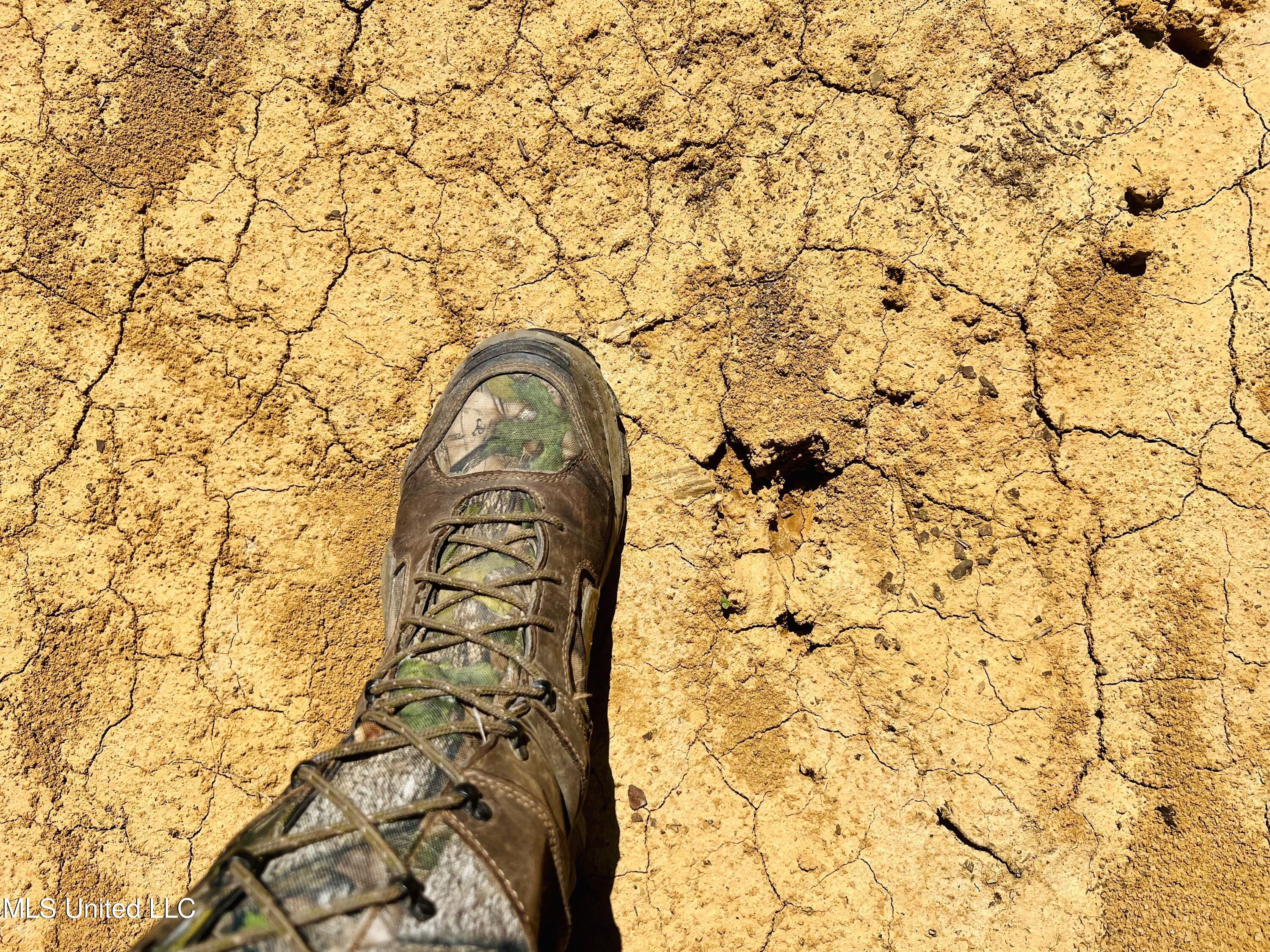 Firetower Road Camden, MS 39045 - Photo 4 of 38 IMG_9253