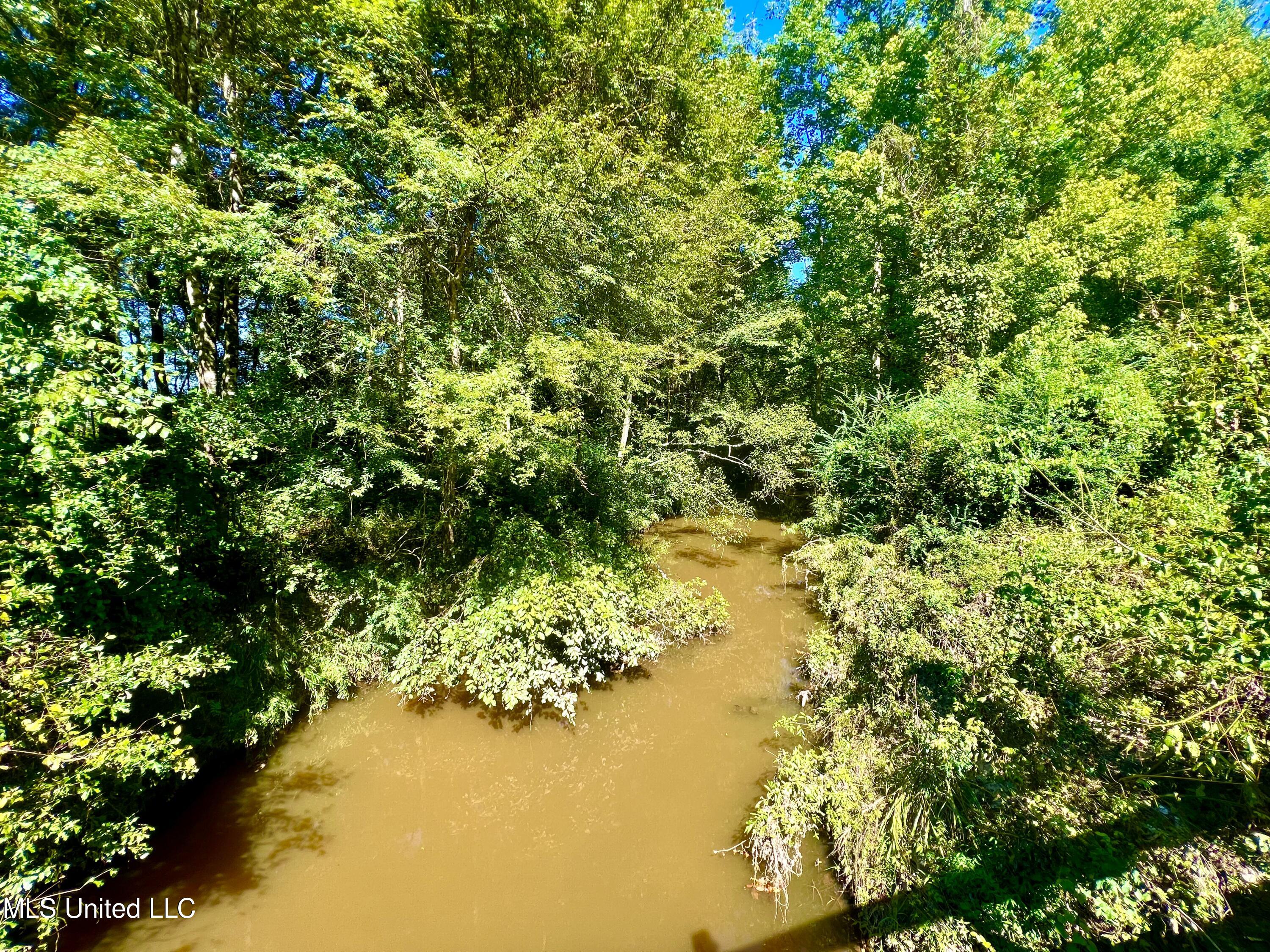 Firetower Road Camden, MS 39045 - Photo 5 of 38 IMG_9367