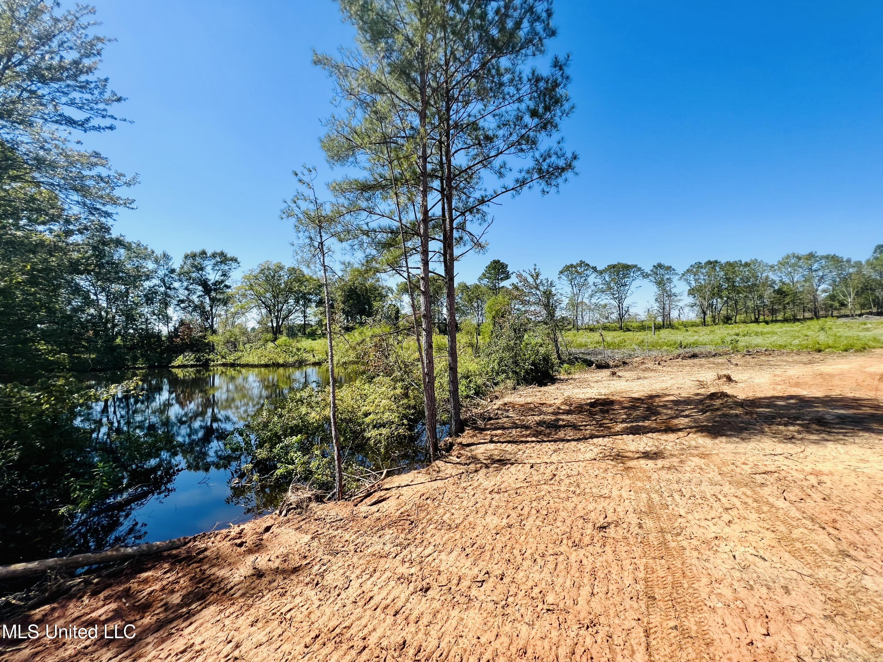 Firetower Road Camden, MS 39045 - Photo 6 of 38 IMG_9350