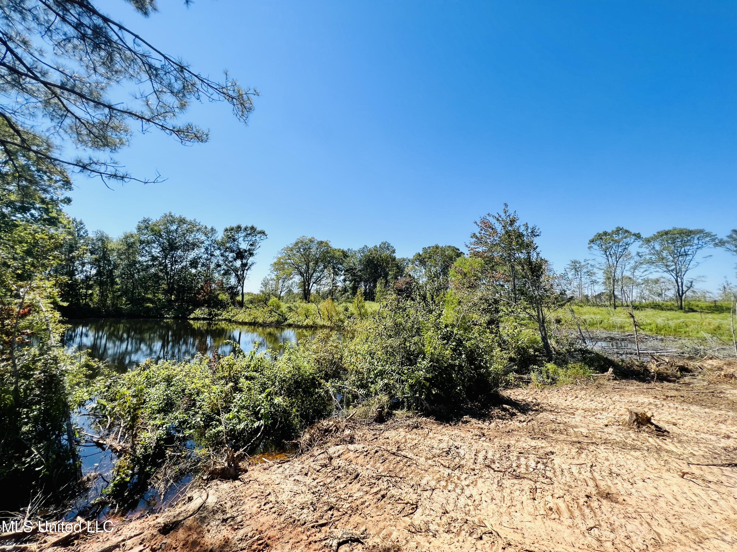 Firetower Road Camden, MS 39045 - Photo 7 of 38 IMG_9349