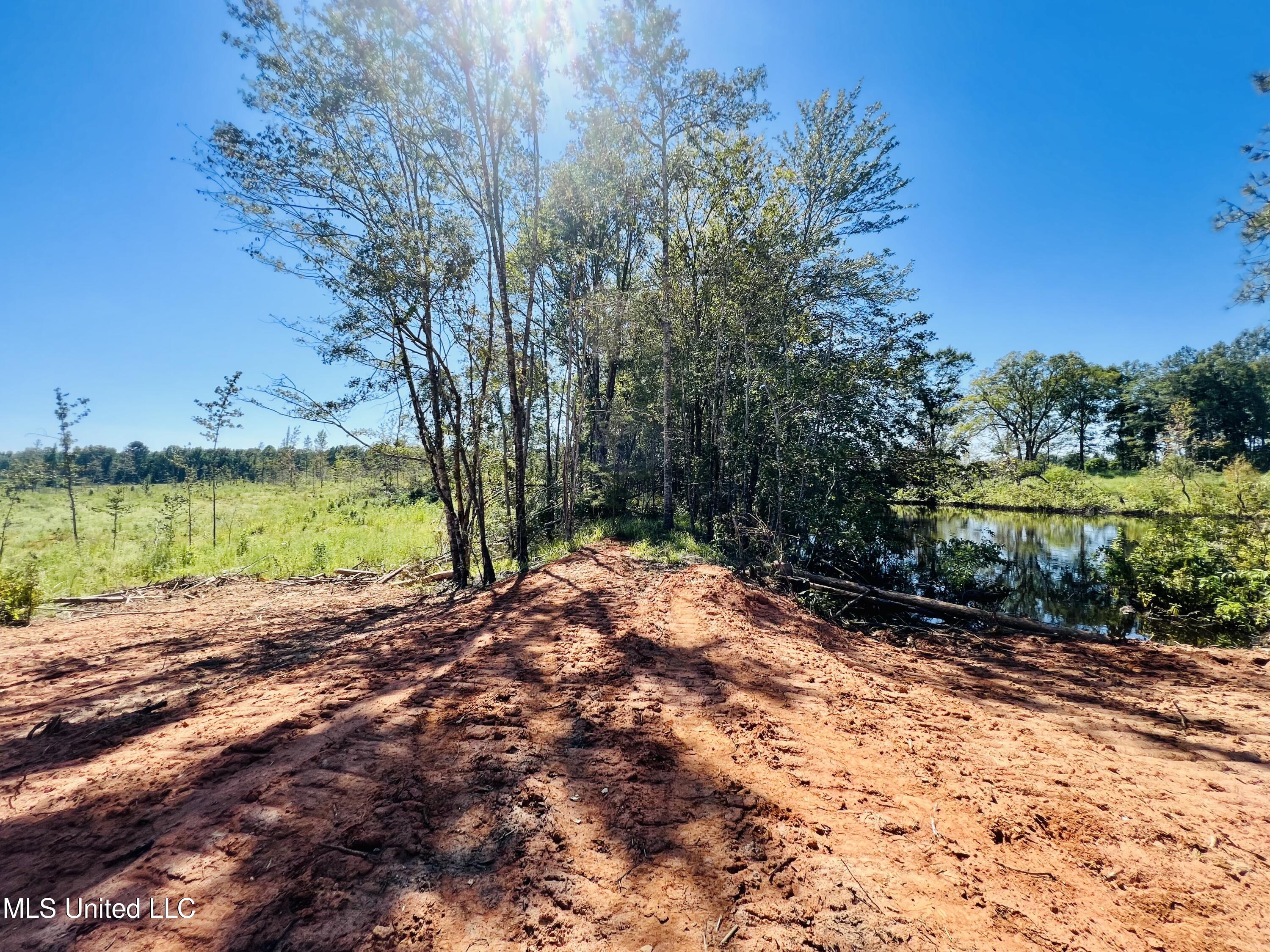 Firetower Road Camden, MS 39045 - Photo 8 of 38 IMG_9346