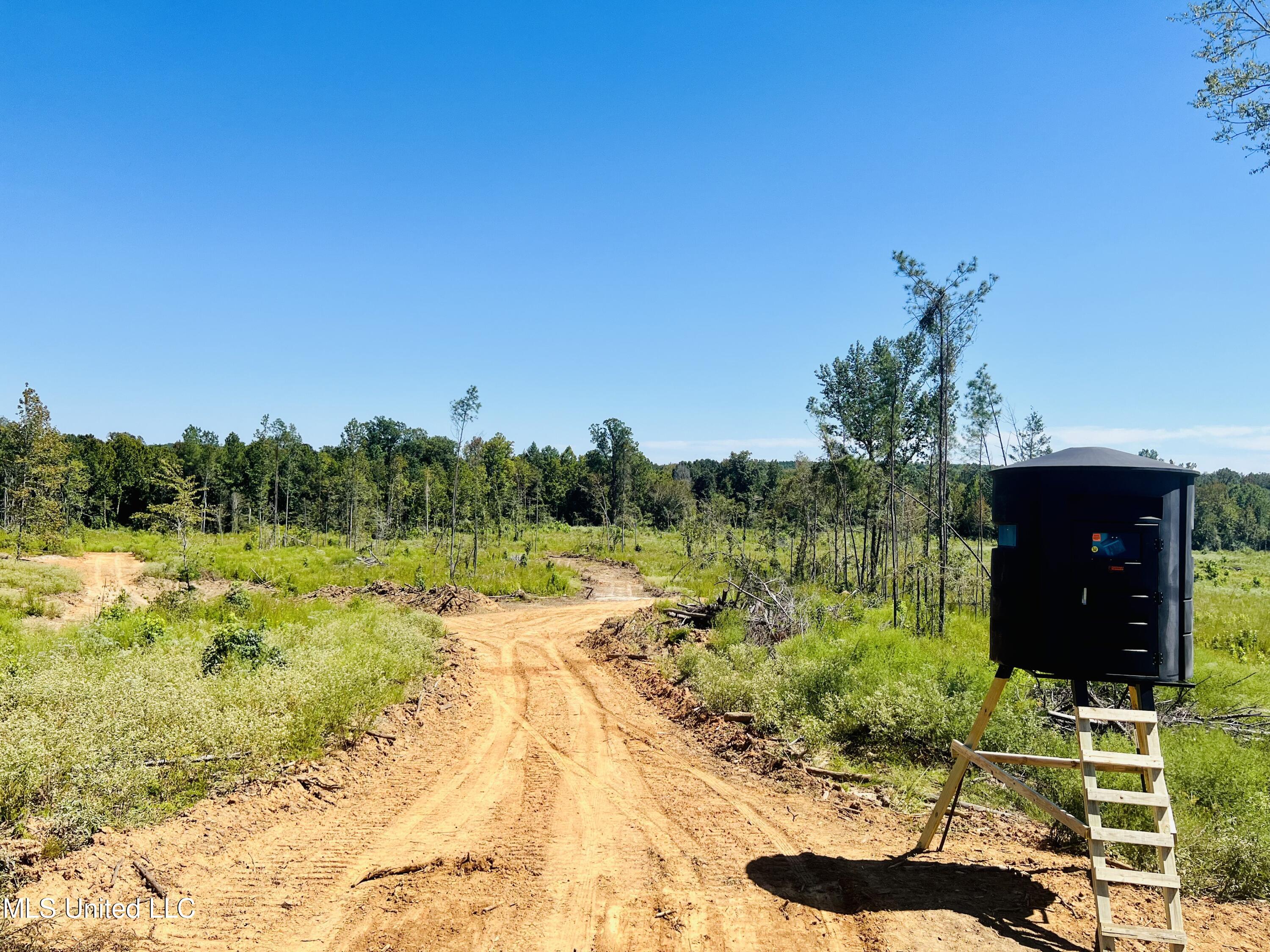 Firetower Road Camden, MS 39045 - Photo 9 of 38 IMG_9282