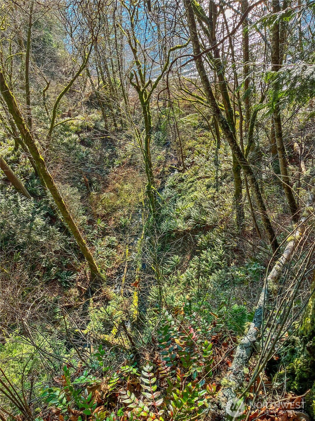 26 Riverview East Road Cathlamet, WA 98612 - Photo 28 of 31 Gallery Image 28