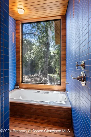 $250,000 | 701 Gibson Avenue, Aspen, CO 81611