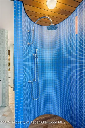 $250,000 | 701 Gibson Avenue, Aspen, CO 81611