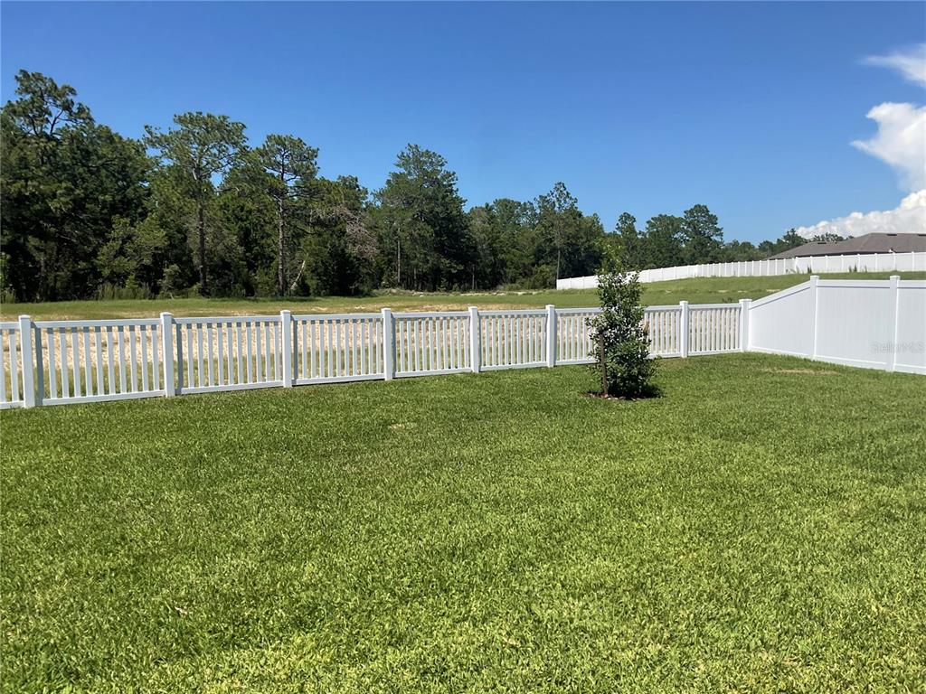 3808 Benham Rise Road Spring Hill, FL 34609 - Photo 5 of 10