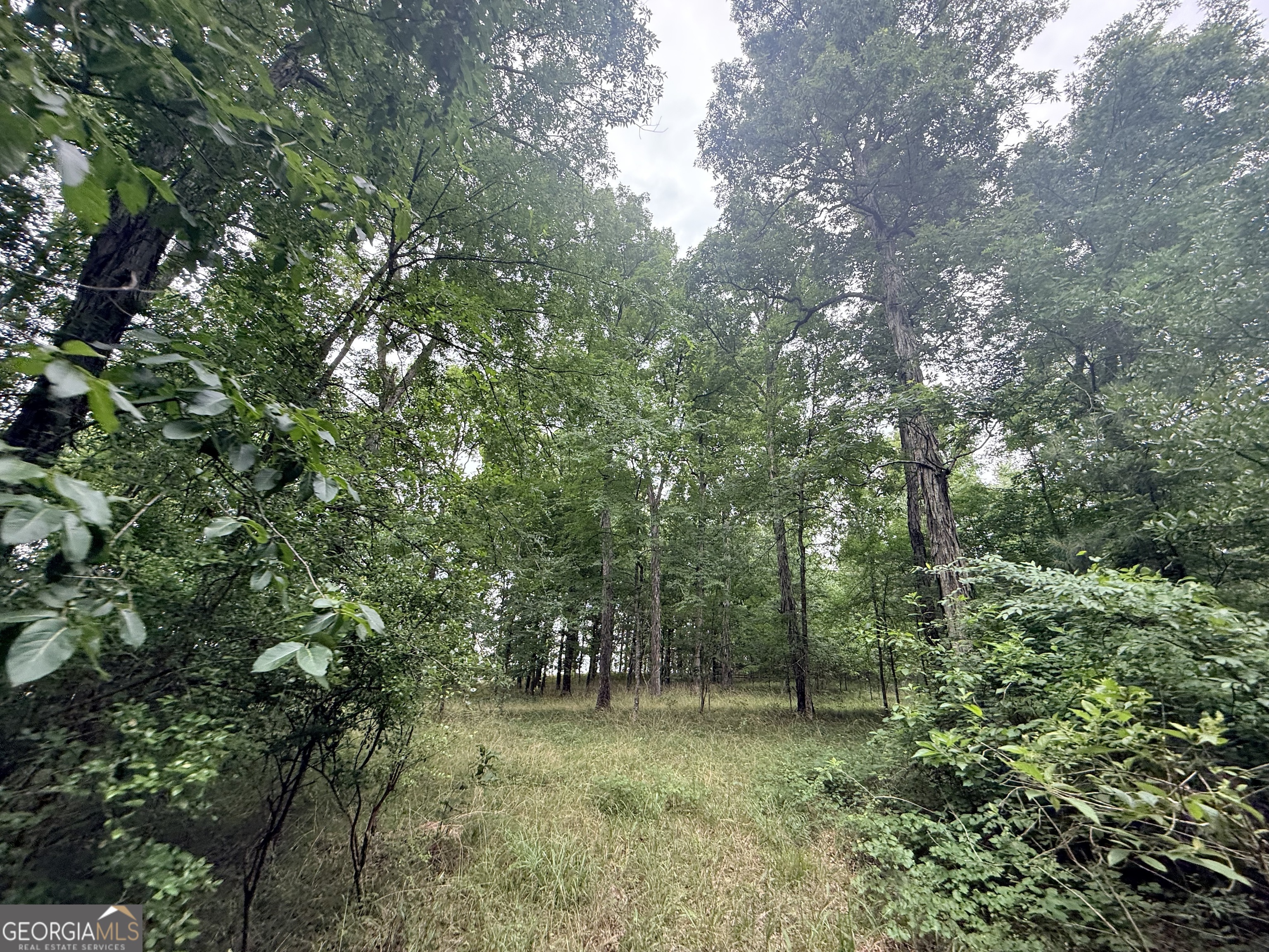 1 Bethesda Church Road Lexington, GA 30648 - Photo 18 of 78