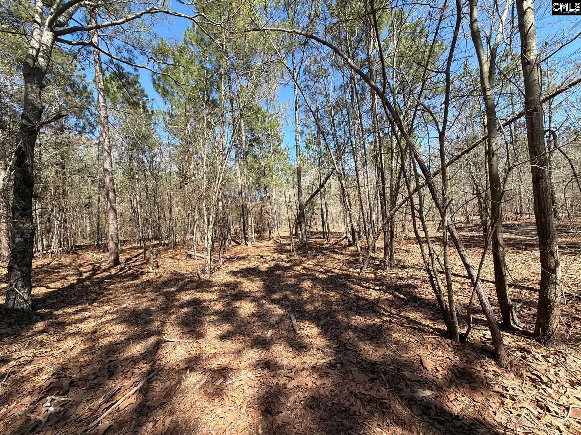 13 Boise Cascade Road, Unit BHL 13 Bethune, SC 29009 - Photo 13 of 31