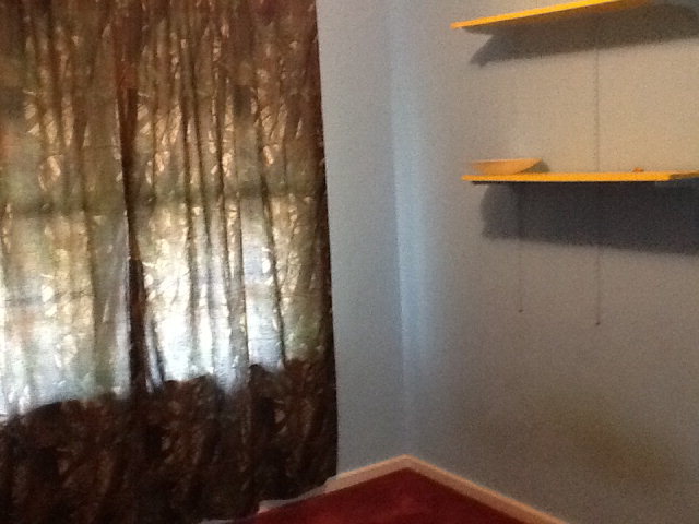 3416 Hillcrest Road Macon, GA 31204 - Photo 4 of 9 Additional Photo