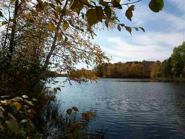 North Lot NORTH Lot Mall Lane Rib Lake, WI 54470 - Photo 1 of 1