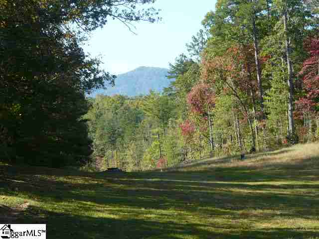 132 Trinity Trail Cleveland, SC 29635 - Photo 19 of 19