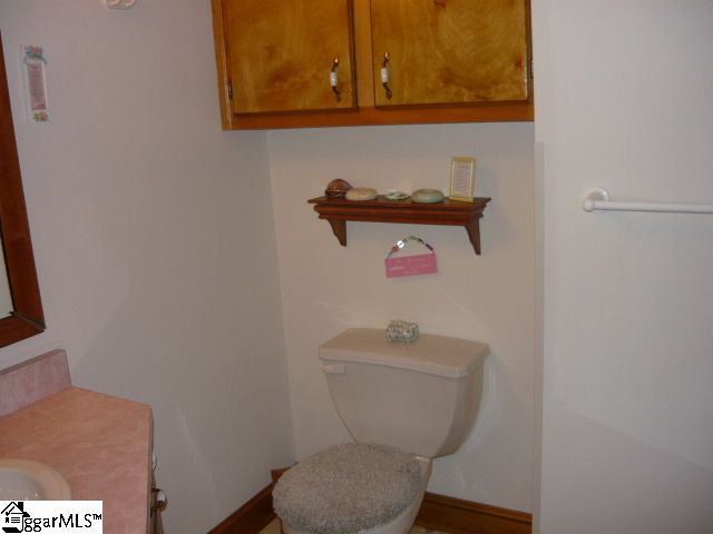 132 Trinity Trail Cleveland, SC 29635 - Photo 6 of 19