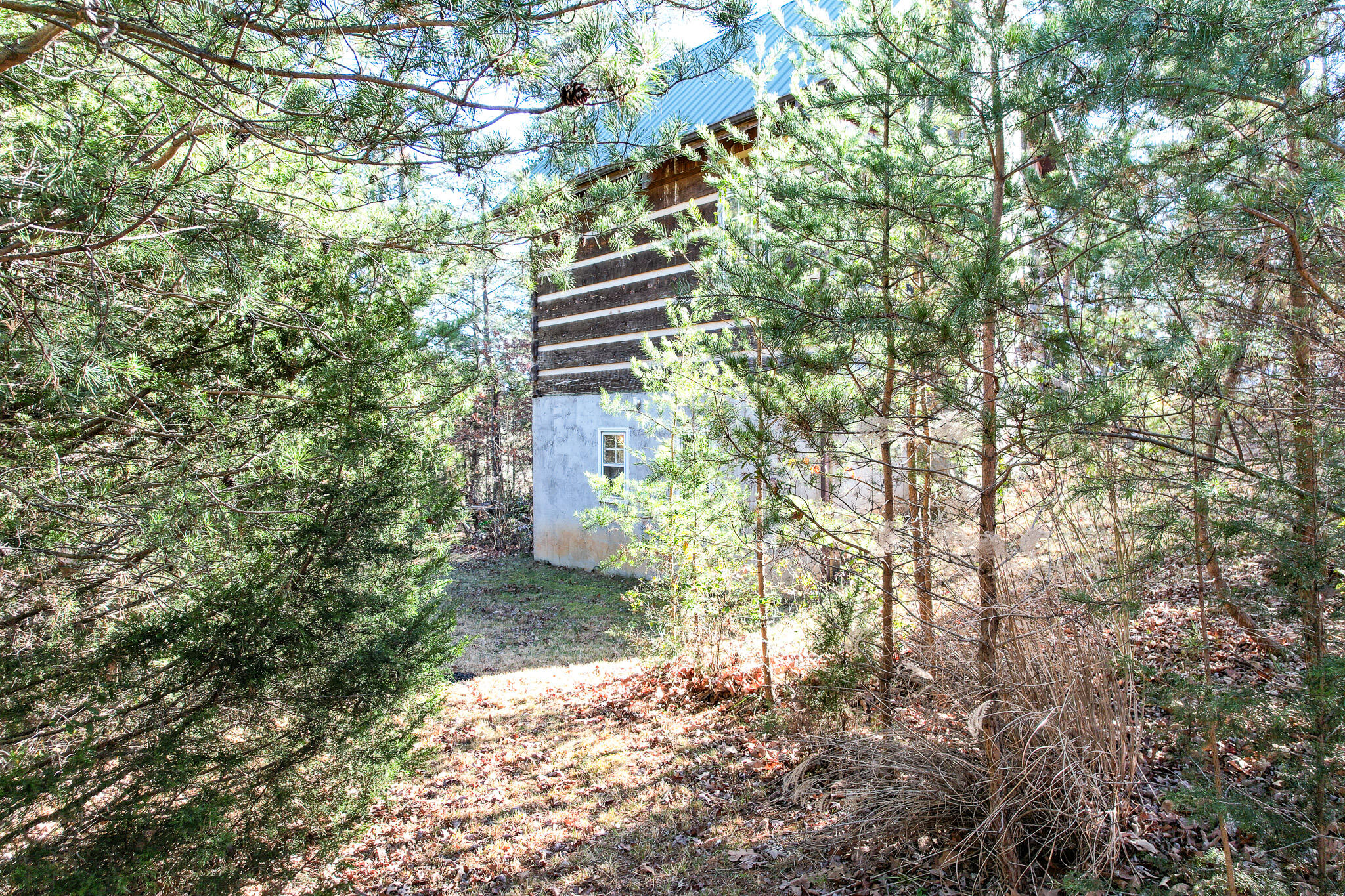 2525 White Sands Road Greeneville, TN 37743 - Photo 32 of 40 DJI_0916