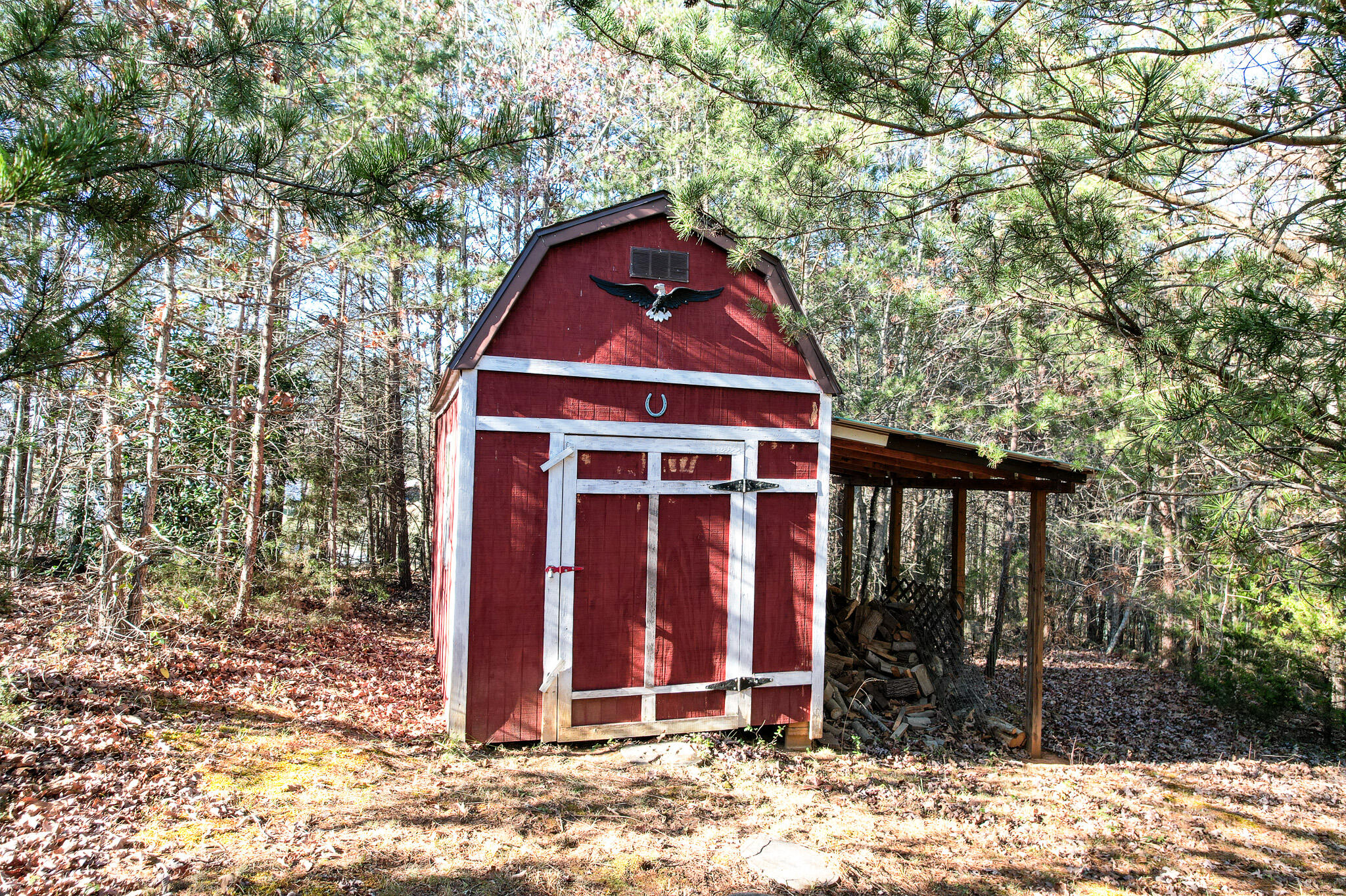 2525 White Sands Road Greeneville, TN 37743 - Photo 33 of 40 DJI_0912