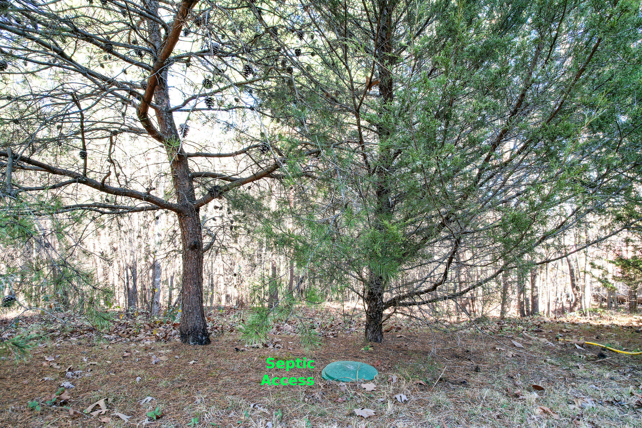 2525 White Sands Road Greeneville, TN 37743 - Photo 34 of 40 DJI_0911-Edit