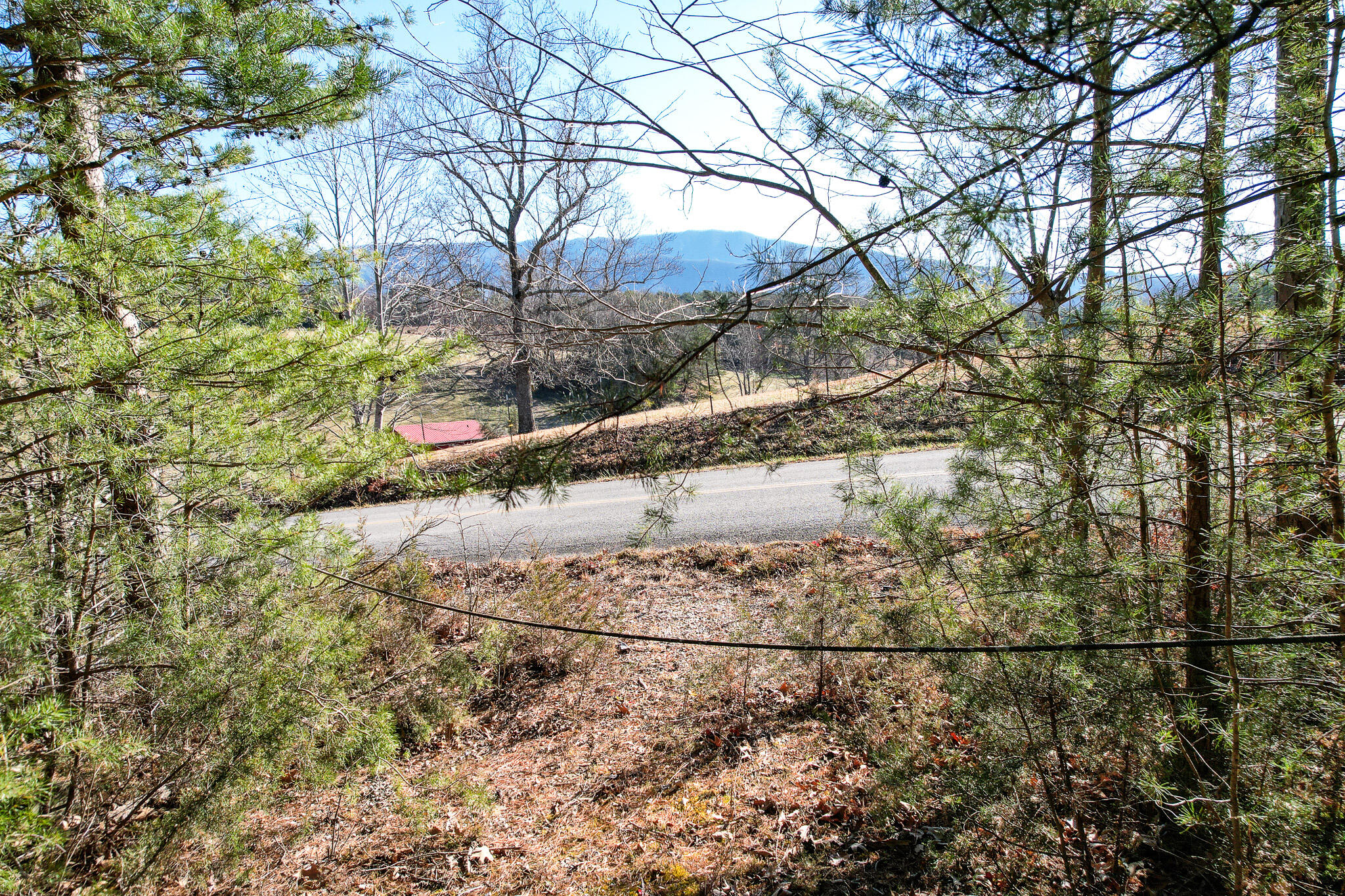 2525 White Sands Road Greeneville, TN 37743 - Photo 36 of 40 DJI_0908