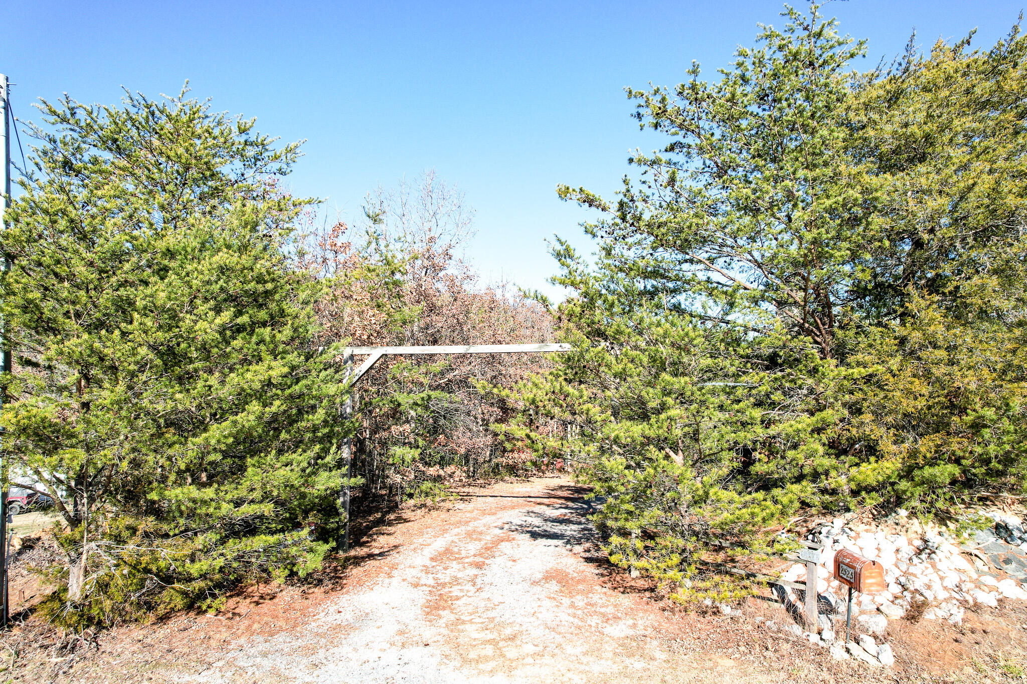 2525 White Sands Road Greeneville, TN 37743 - Photo 38 of 40 DJI_0928