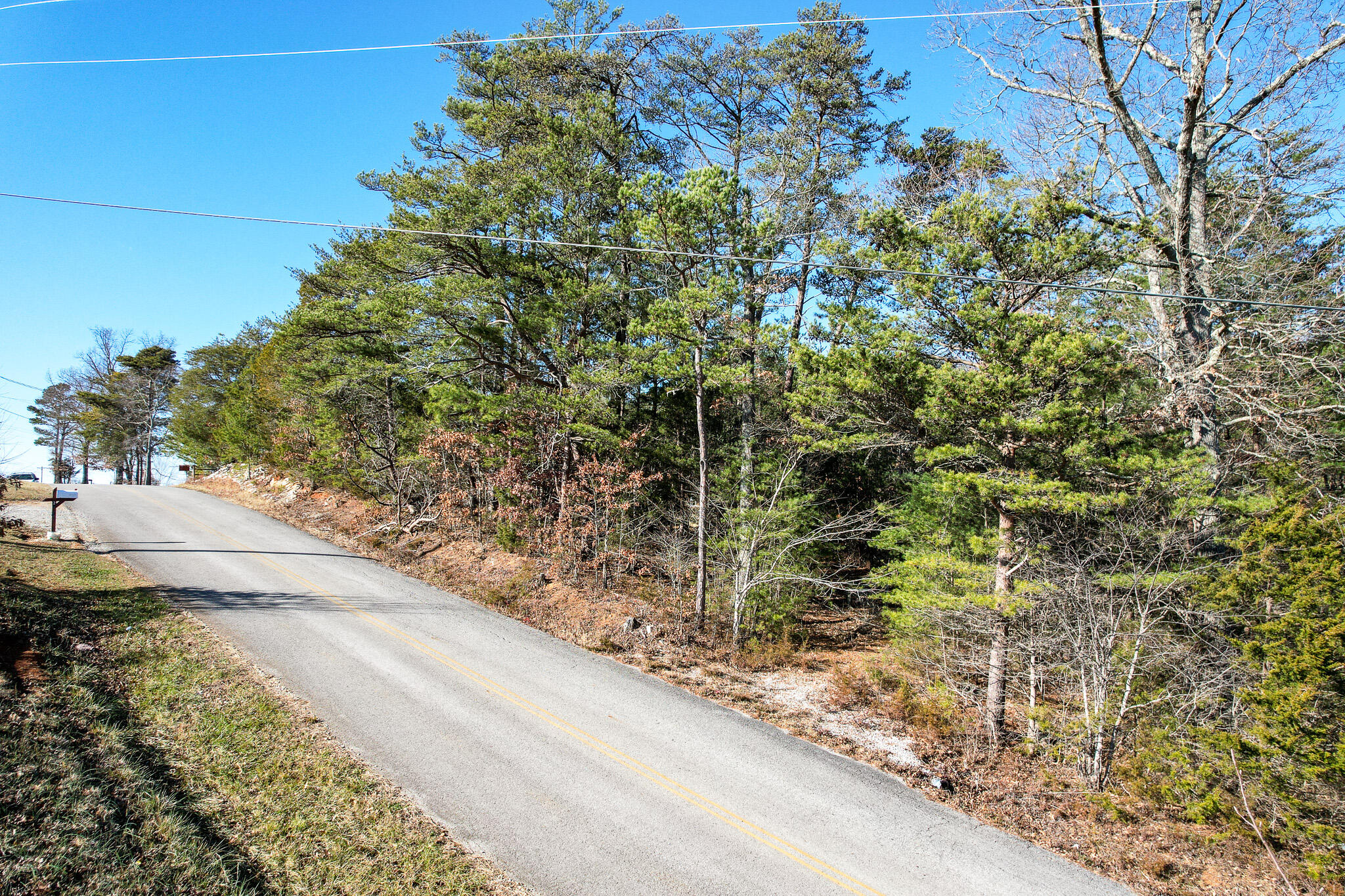 2525 White Sands Road Greeneville, TN 37743 - Photo 40 of 40 DJI_0925