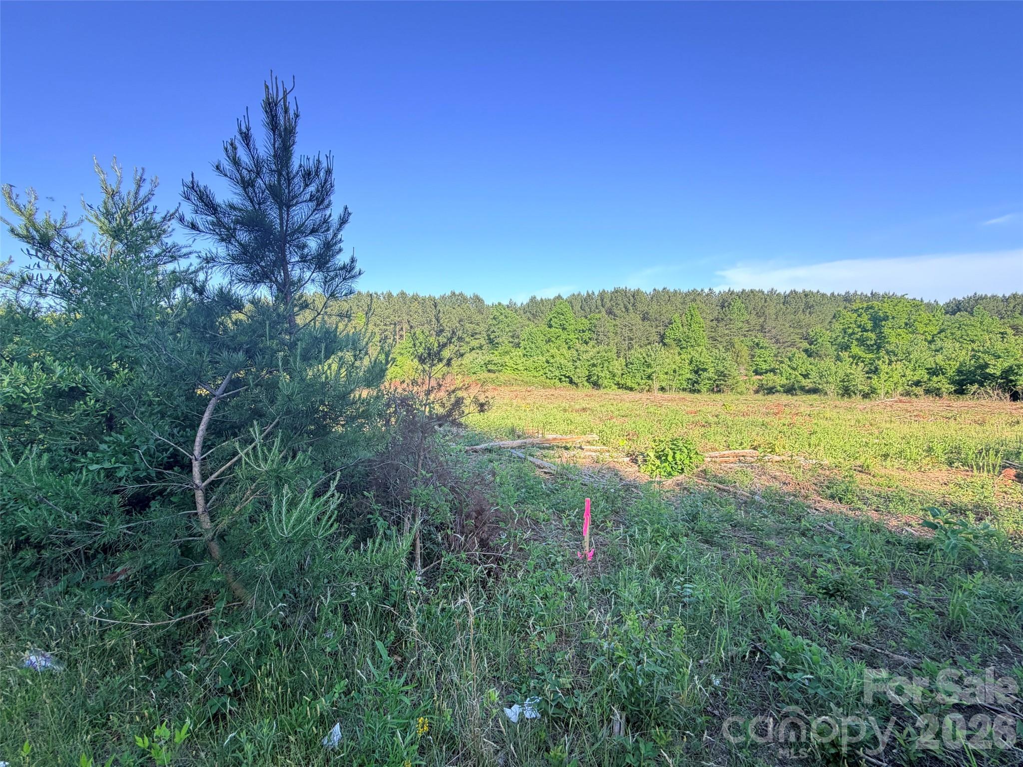 Lot 2 Doggett Grove Road Forest City, NC 28043 - Photo 5 of 6