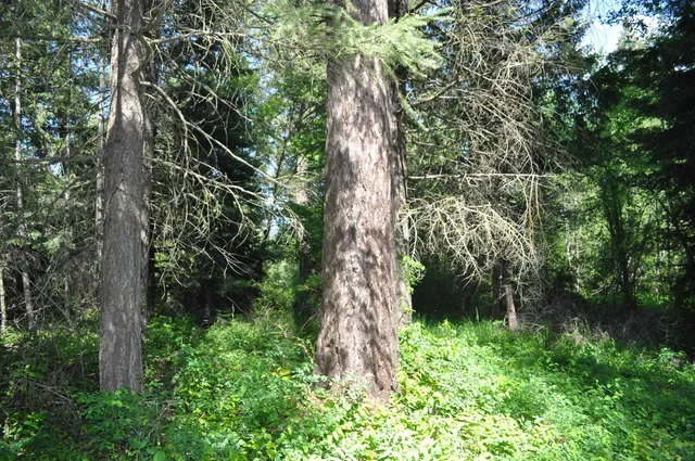 $75,000 | 346-xx North Regal Lane, Deer Park, WA 99006