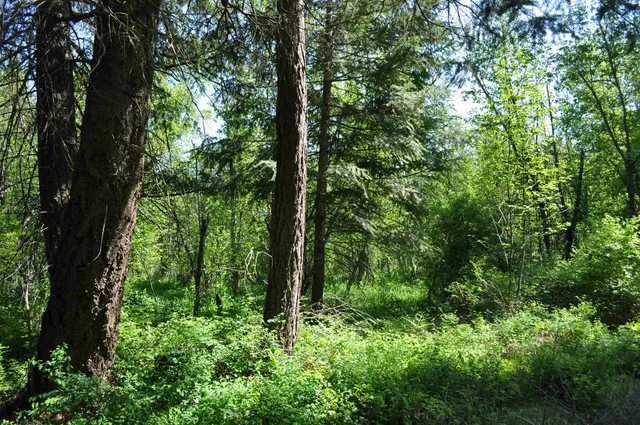 $75,000 | 346-xx North Regal Lane, Deer Park, WA 99006