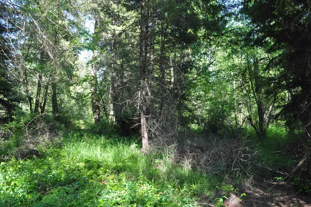 $75,000 | 346-xx North Regal Lane, Deer Park, WA 99006