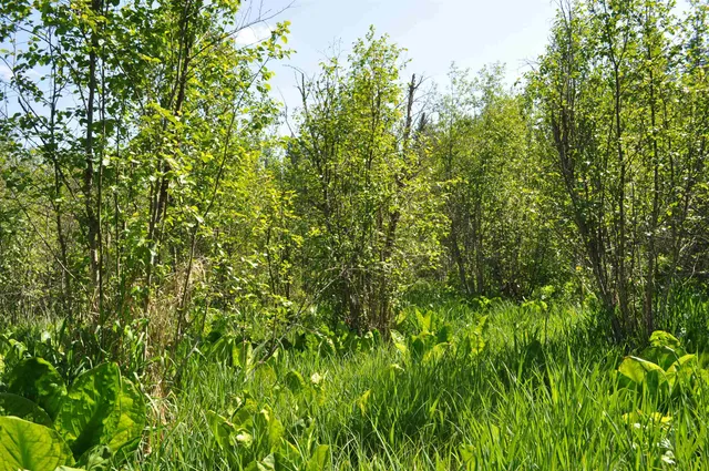 $75,000 | 346-xx North Regal Lane, Deer Park, WA 99006