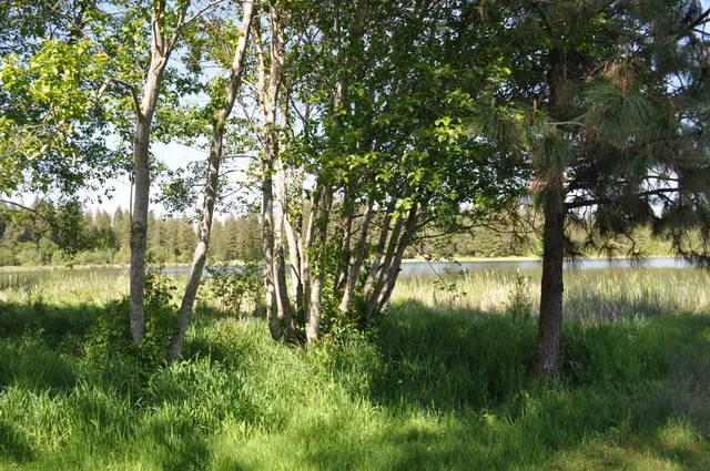 $75,000 | 346-xx North Regal Lane, Deer Park, WA 99006