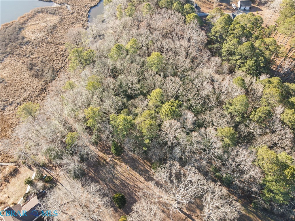 .307-ac 307-ac Point Hartfield, VA 23071 - Photo 10 of 16