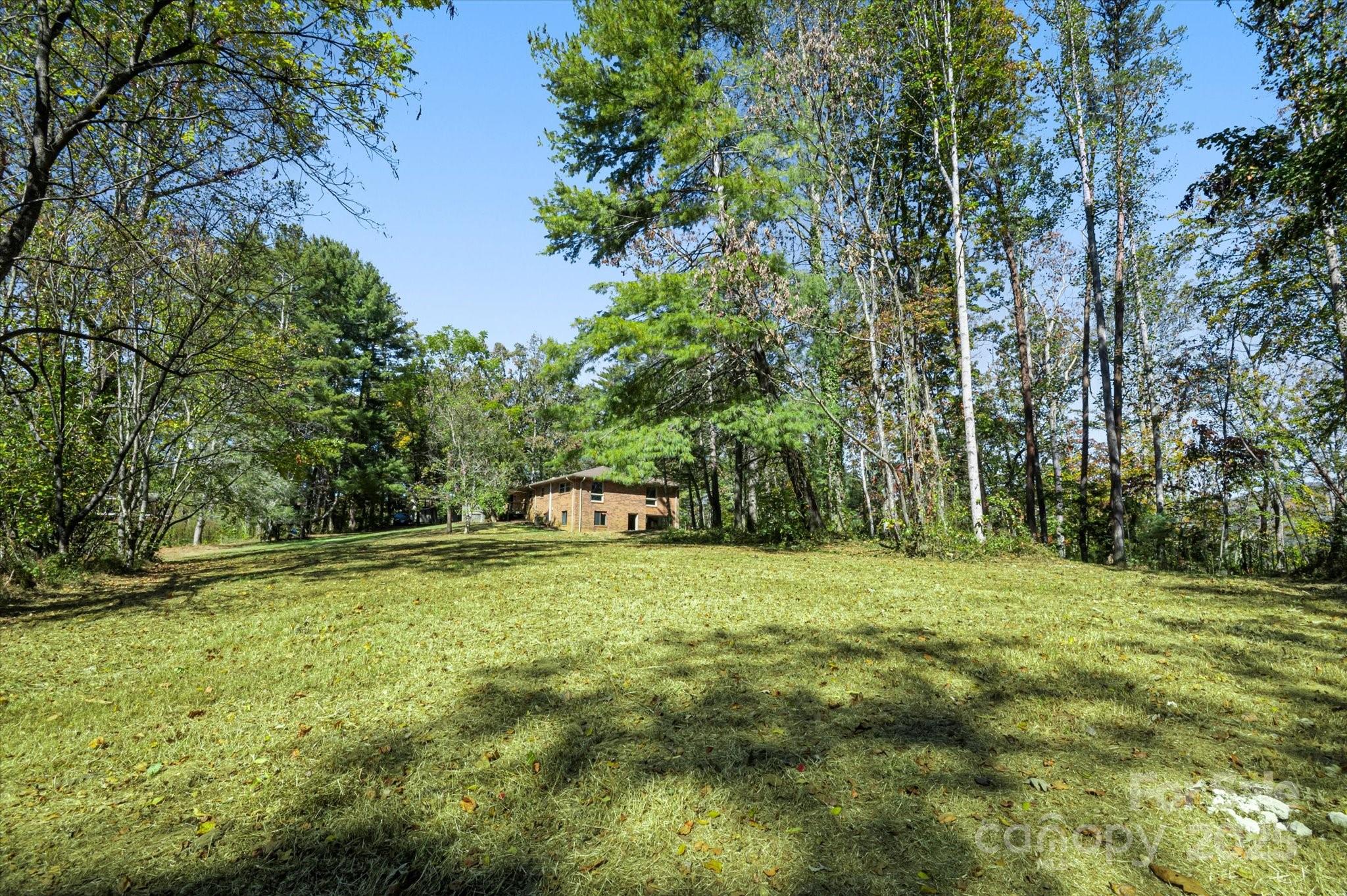 90 Joe Jenkins Road Fairview, NC 28730 - Photo 3 of 46 a yard with trees in the background