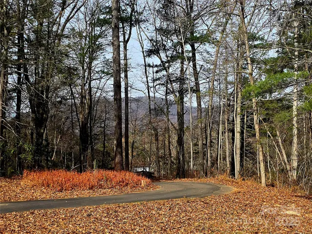 a view of a backyard of the house