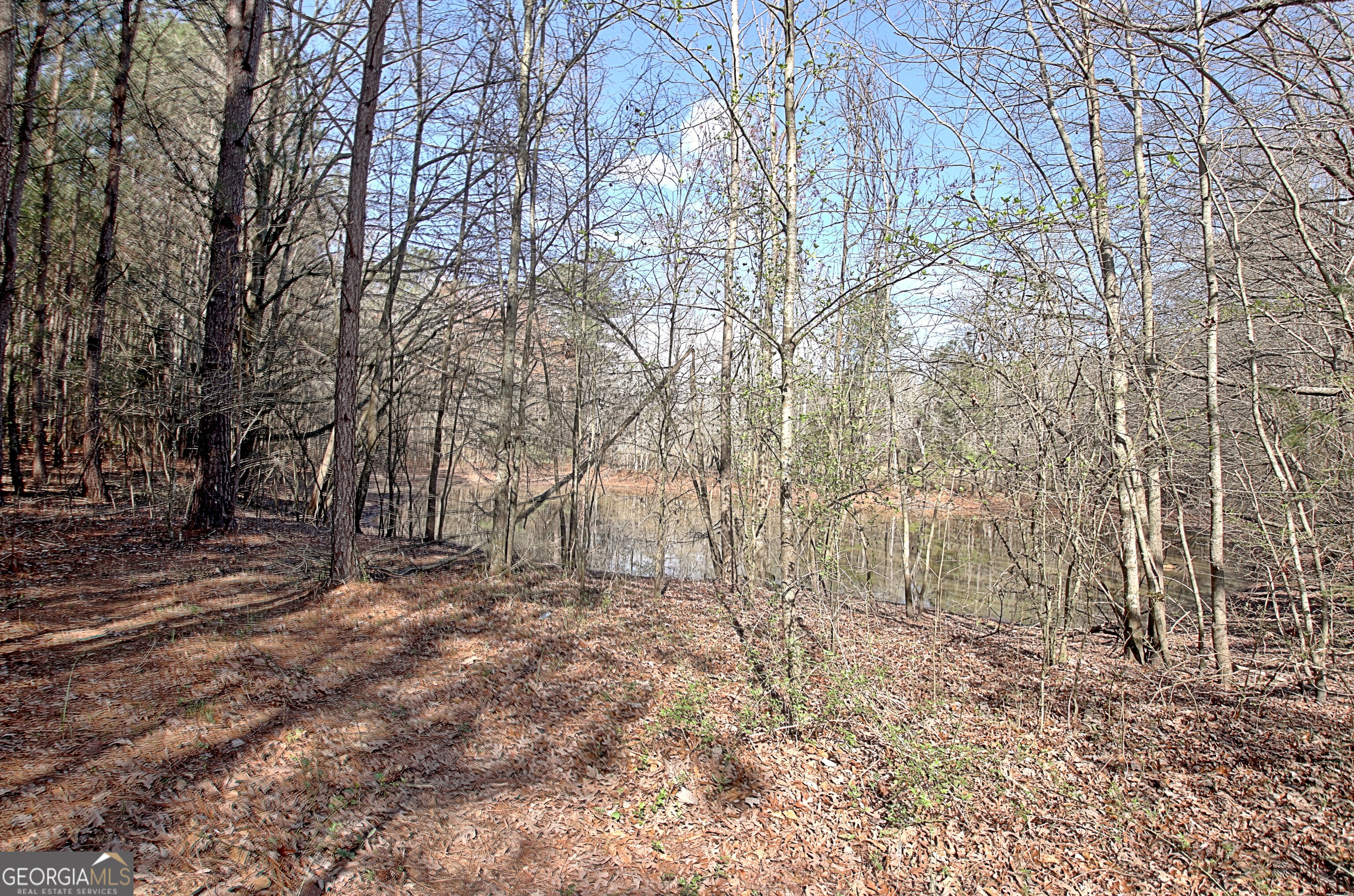 6475 Newnan Road Brooks, GA 30205 - Photo 68 of 72