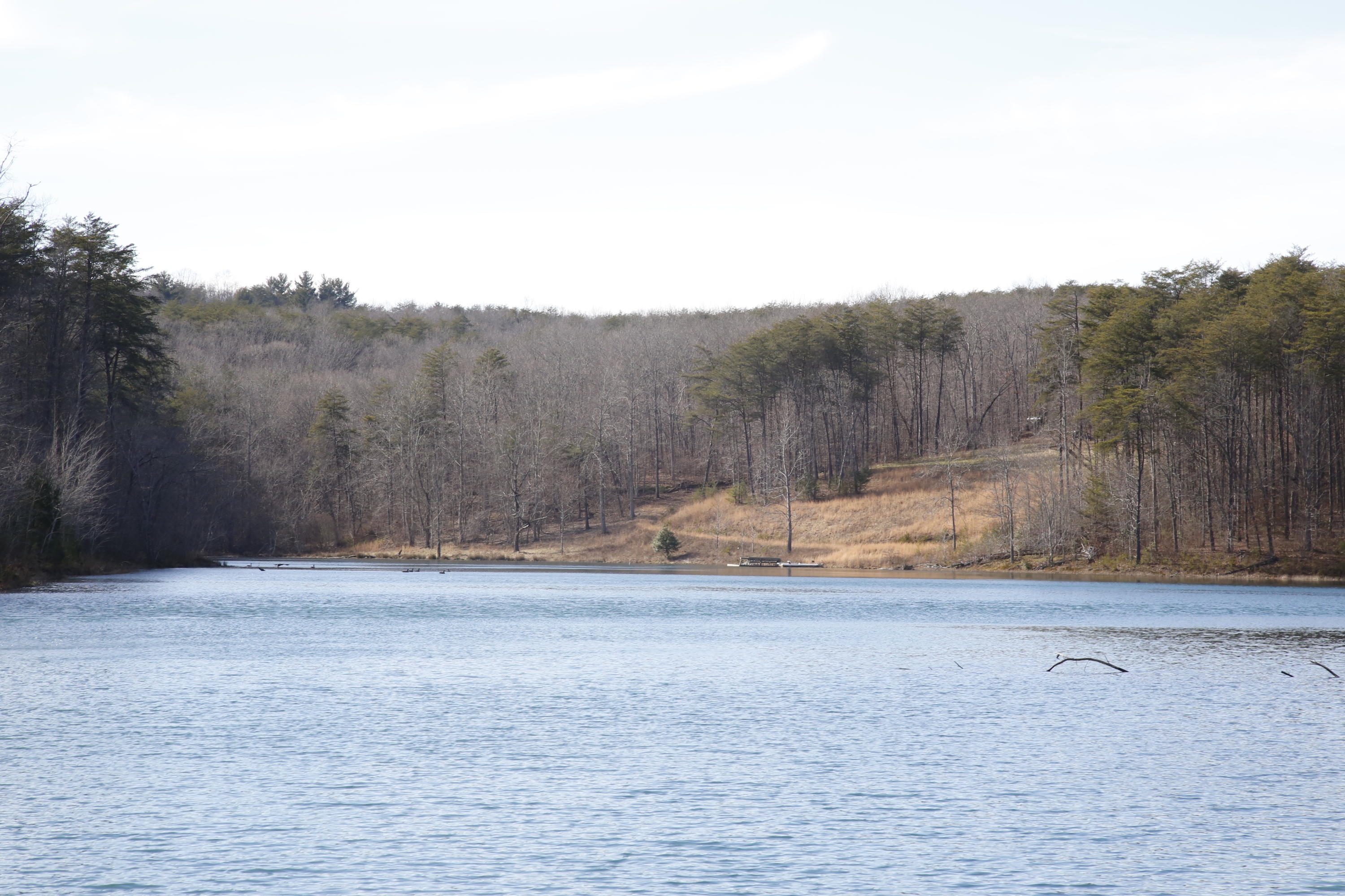 Lot #5 Timberlake Development Spring, Unit 5 Spring City, TN 37381 - Photo 1 of 13 _62A5556