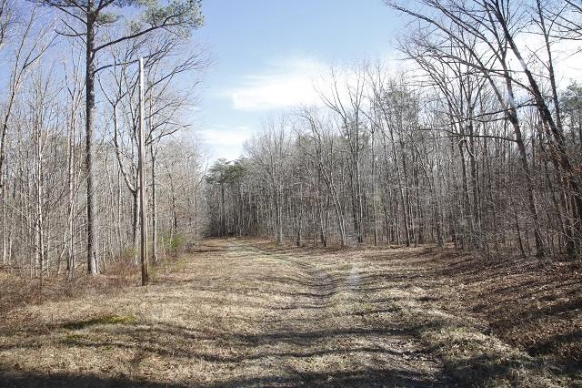 Lot #5 Timberlake Development Spring, Unit 5 Spring City, TN 37381 - Photo 11 of 13 _62A5519